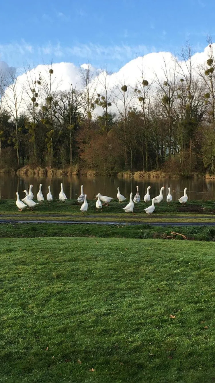 Cabanes et chambre à la Bernardiere