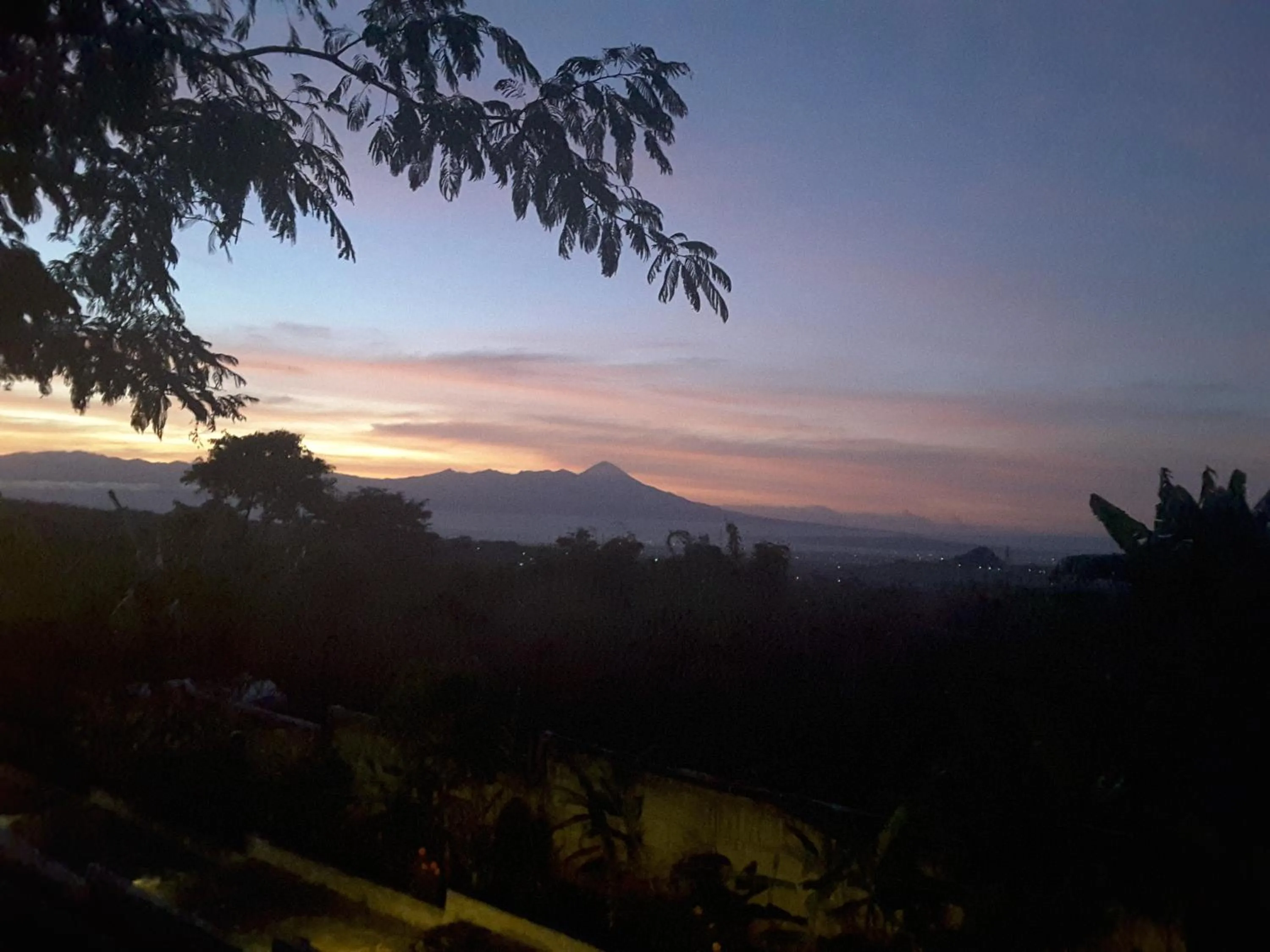 Natural landscape in Joglo Exotico