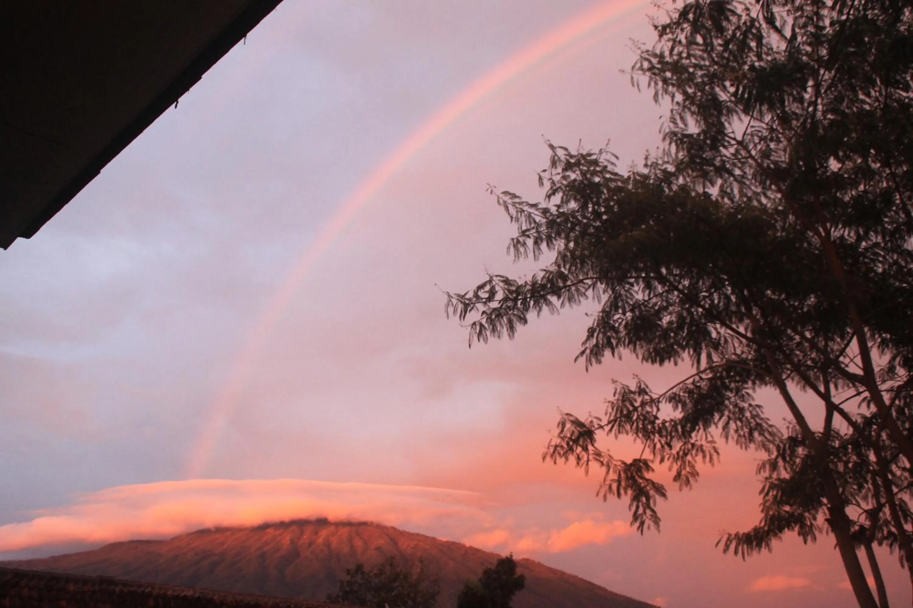 Natural landscape in Joglo Exotico