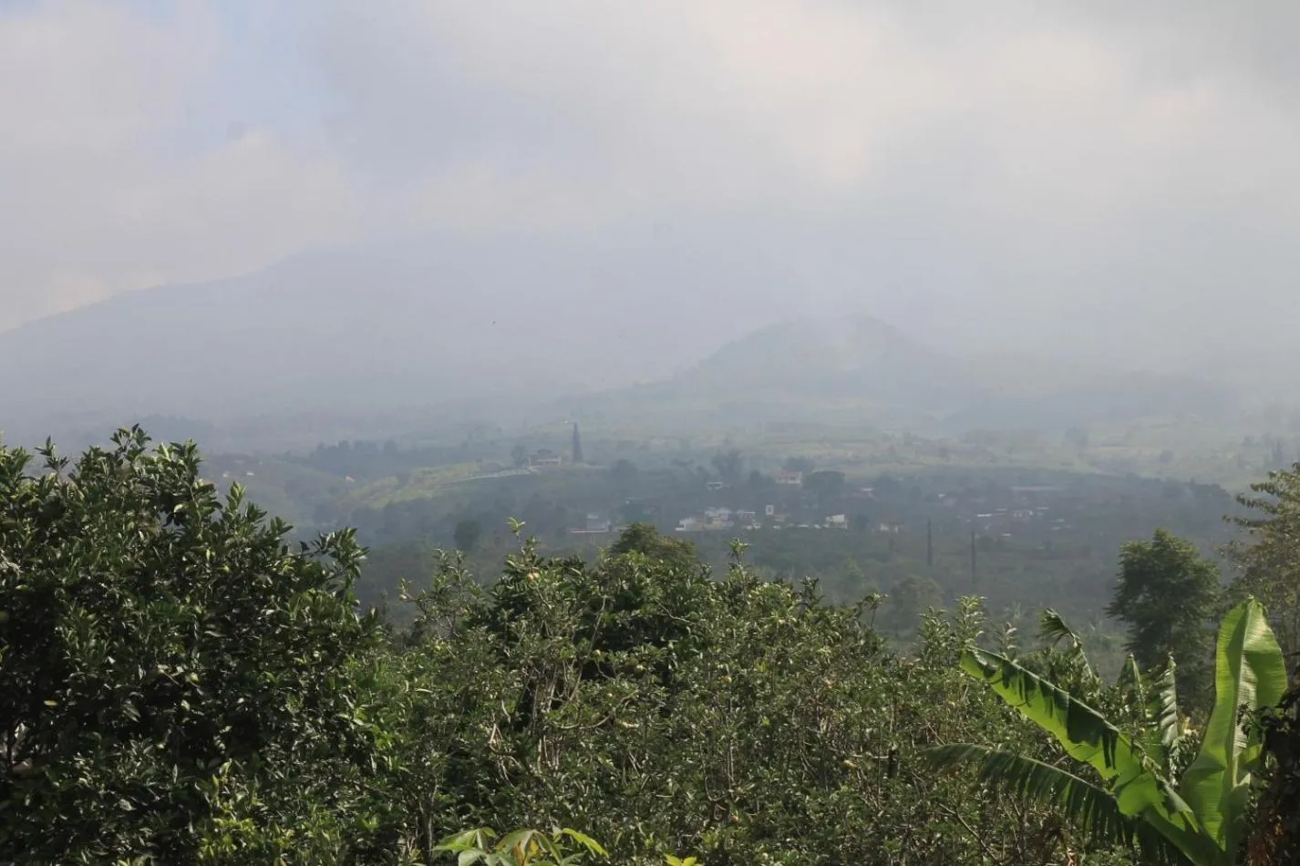 Landmark view in Joglo Exotico