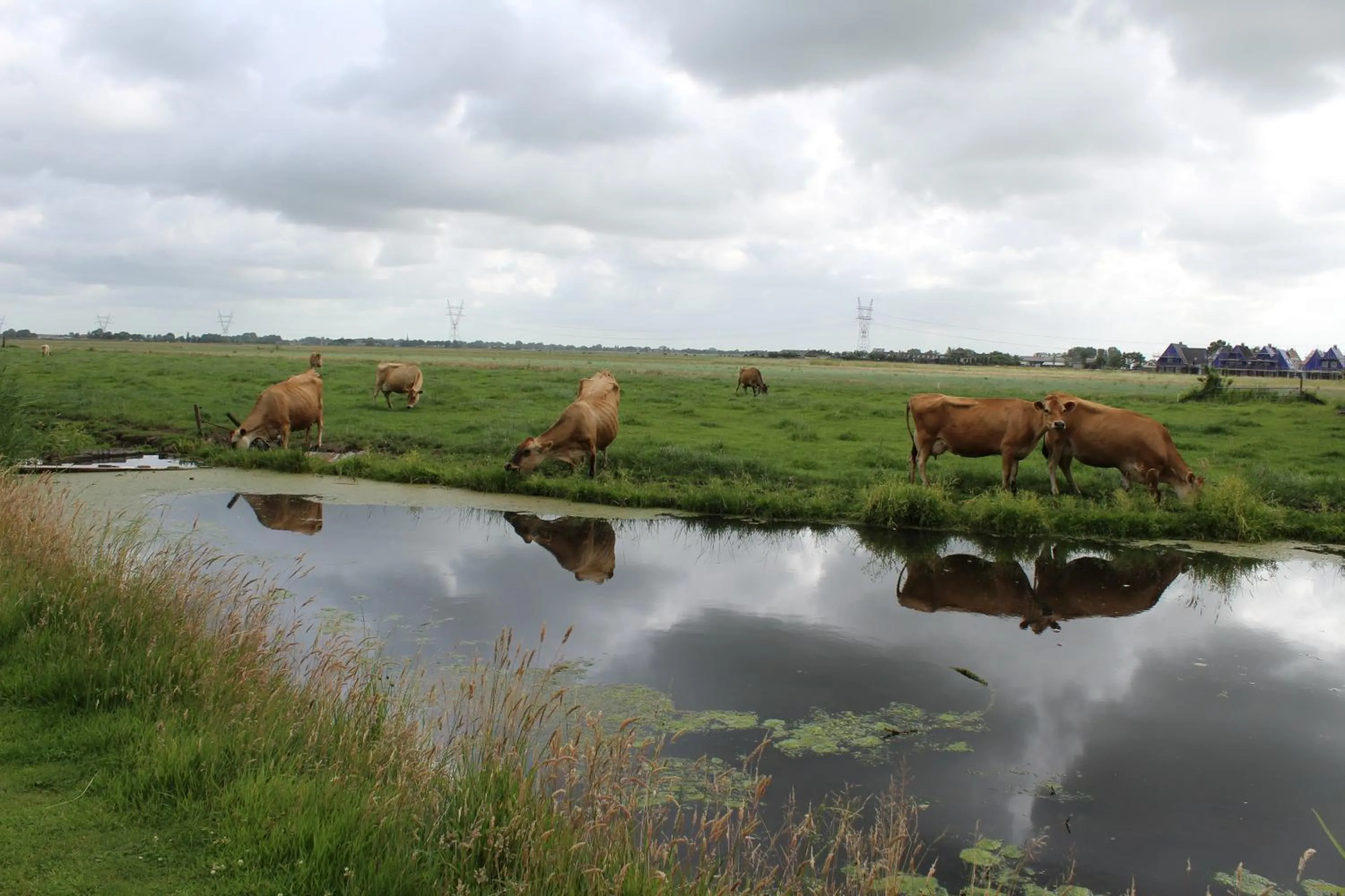 View (from property/room) in Bed and Stay Amsterdam
