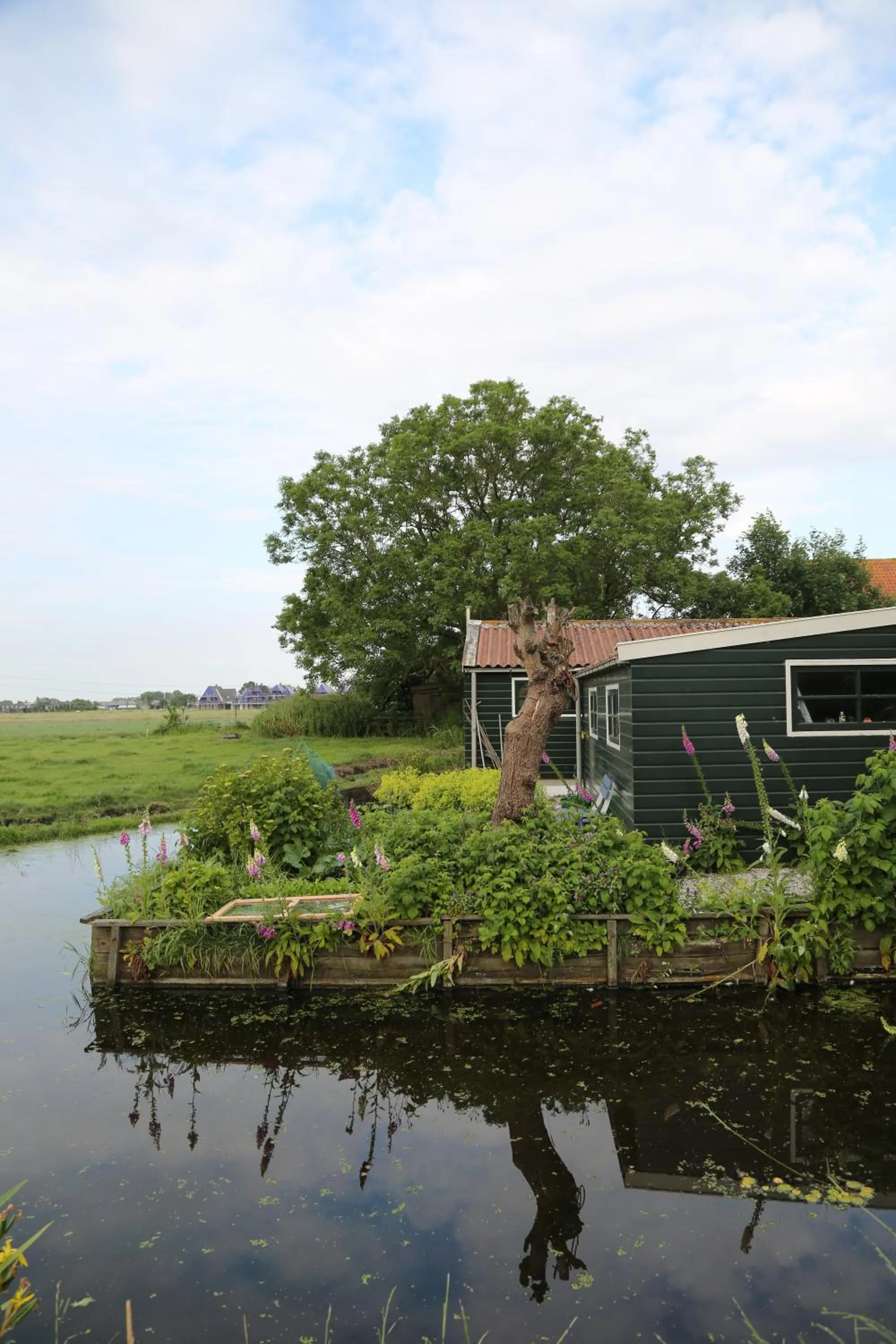 View (from property/room) in Bed and Stay Amsterdam