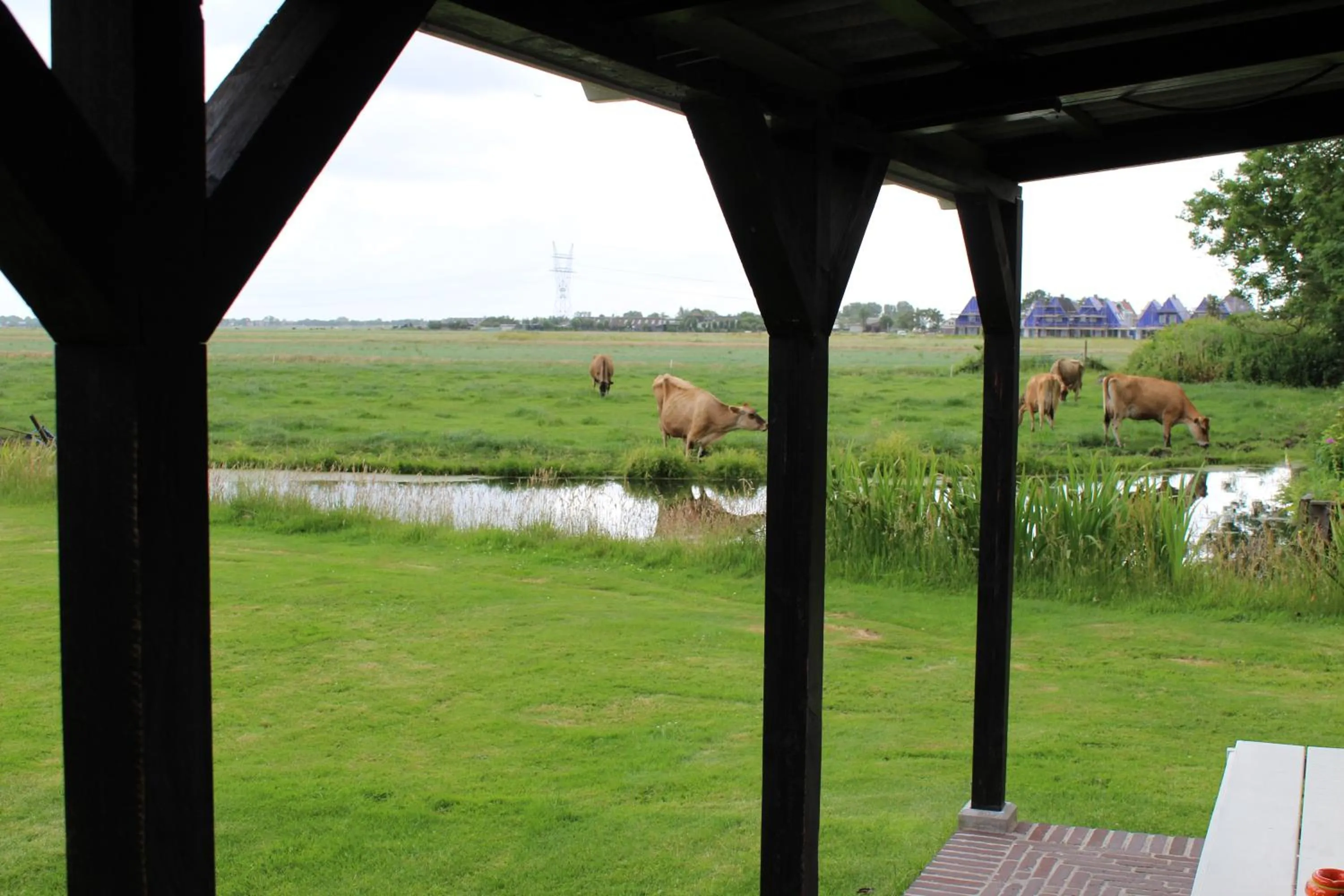 Property building in Bed and Stay Amsterdam