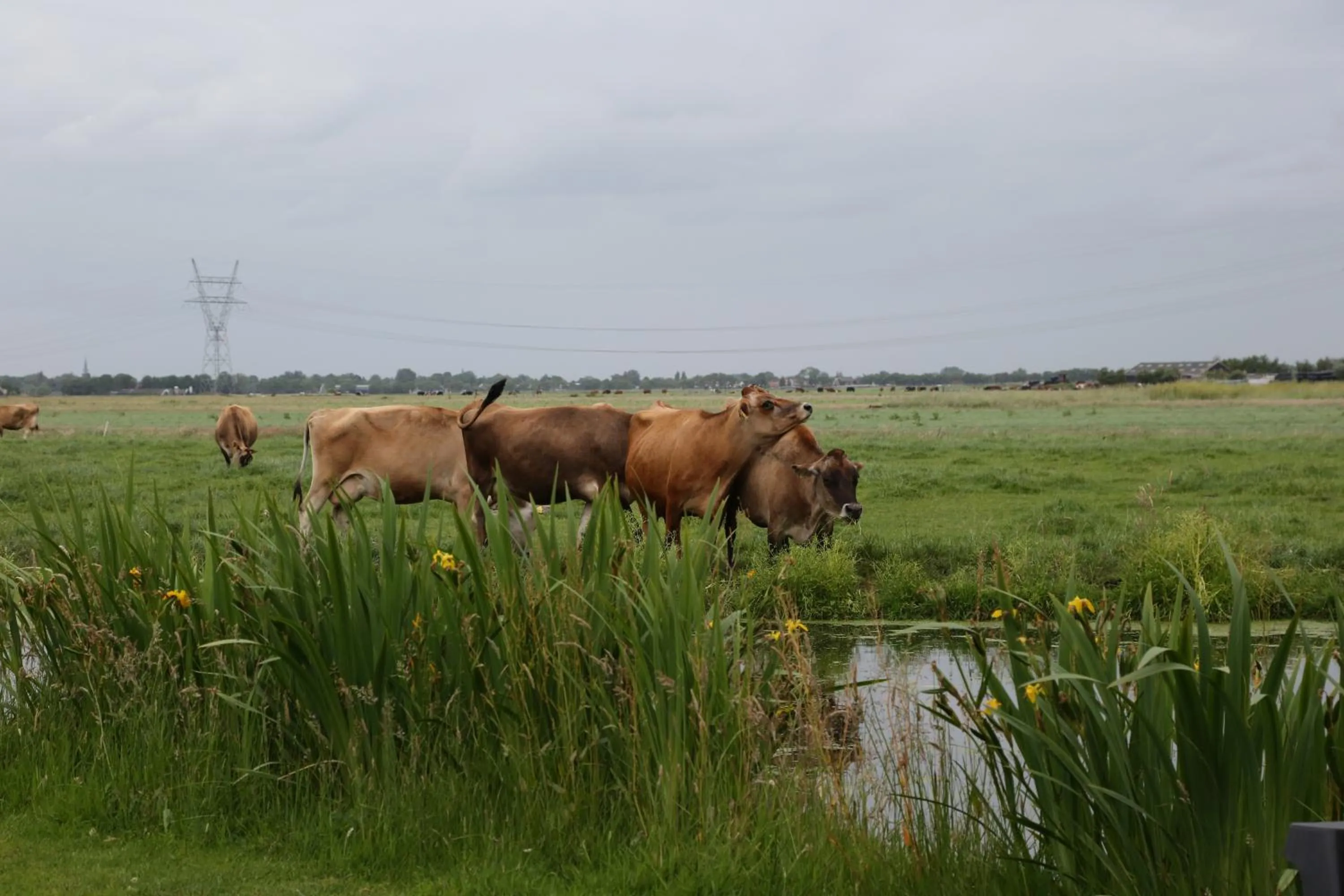 View (from property/room) in Bed and Stay Amsterdam