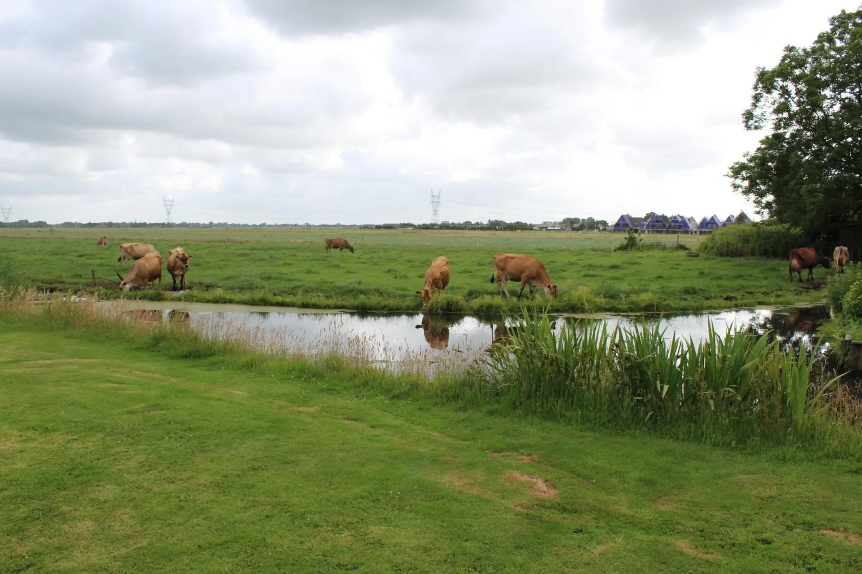 Property building in Bed and Stay Amsterdam