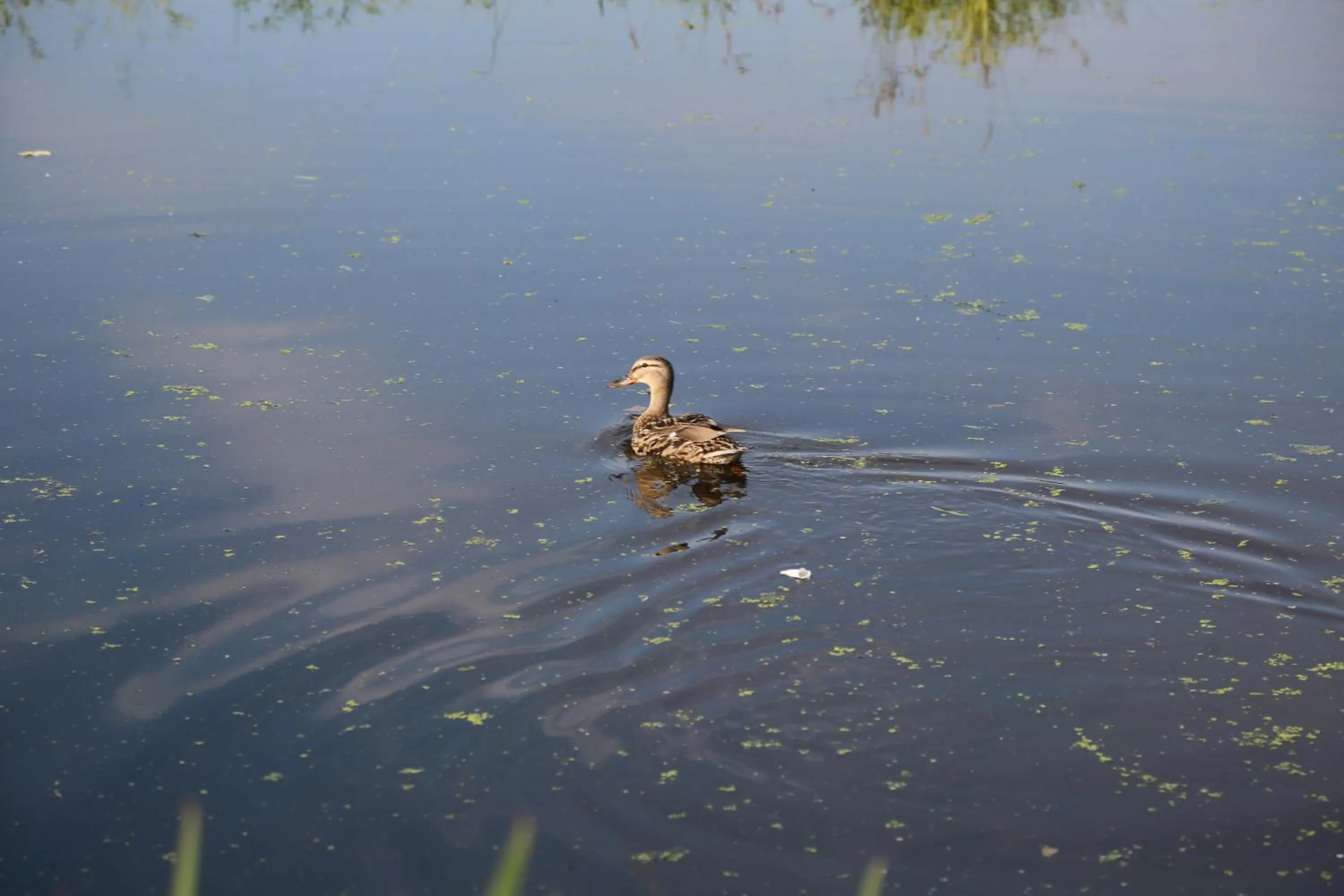 View (from property/room) in Bed and Stay Amsterdam