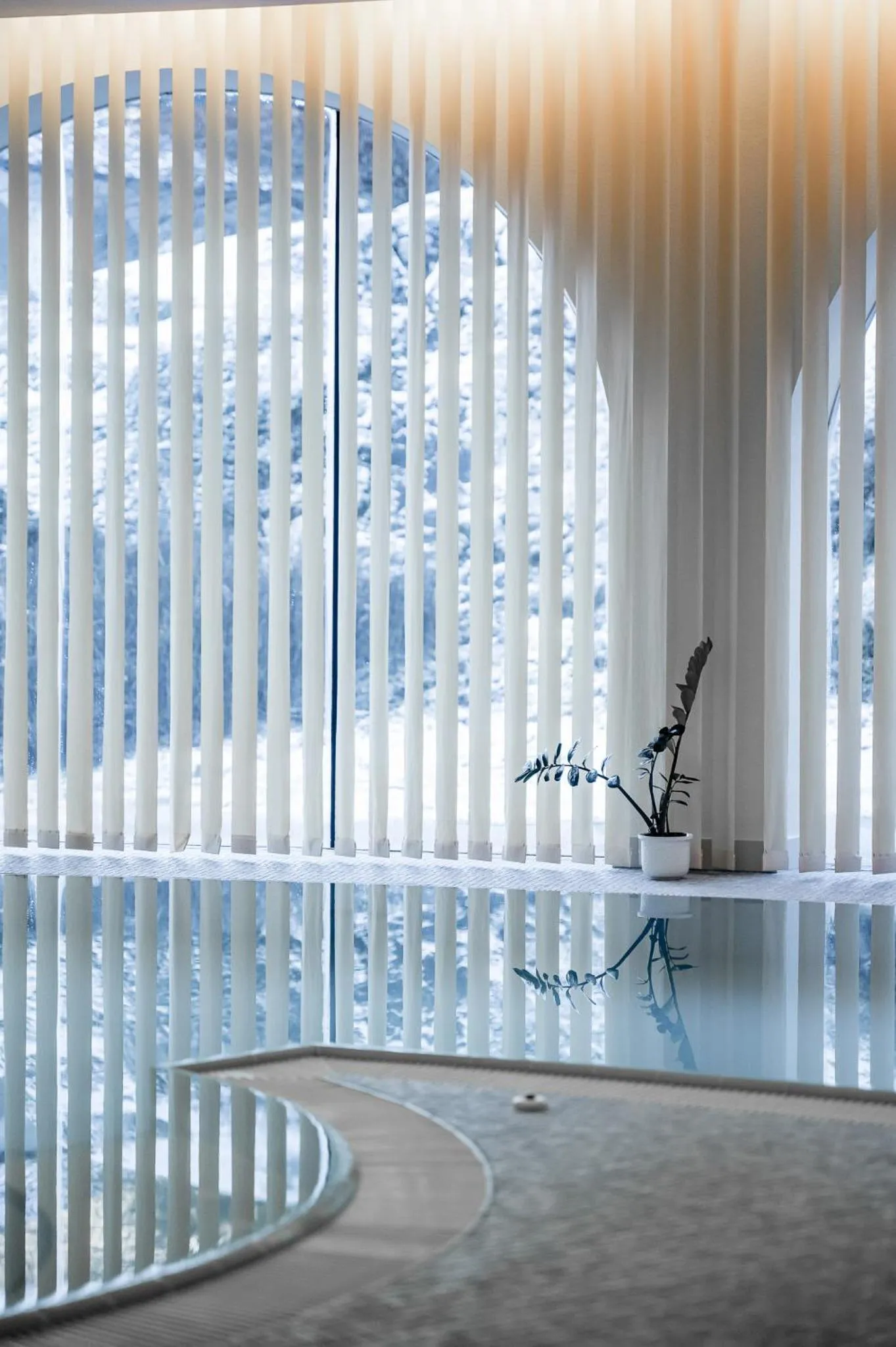 Swimming pool in Seehüter's Hotel Seerose