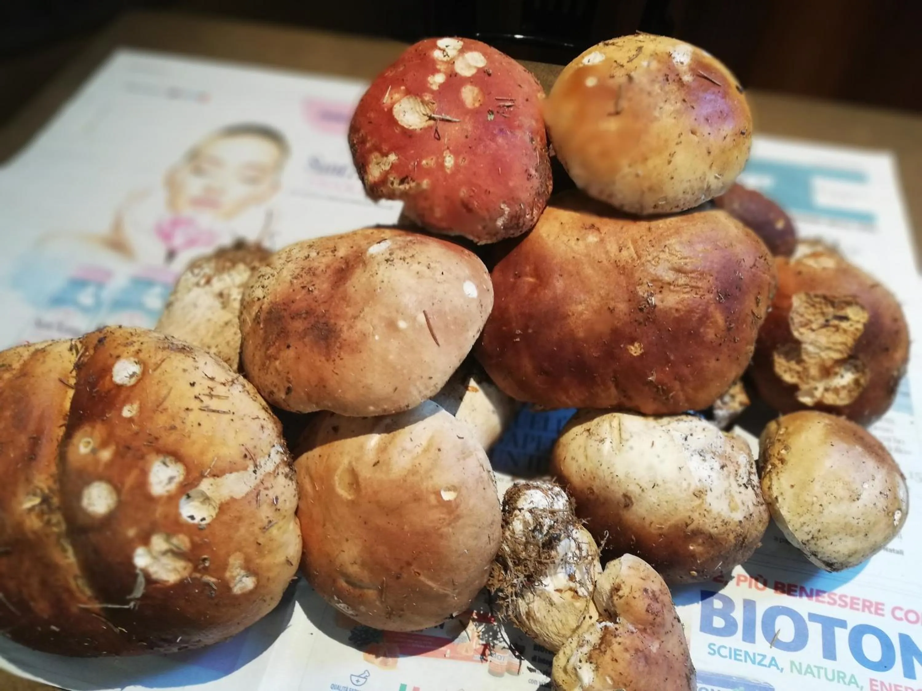 Food in Ristorante Locanda Milano