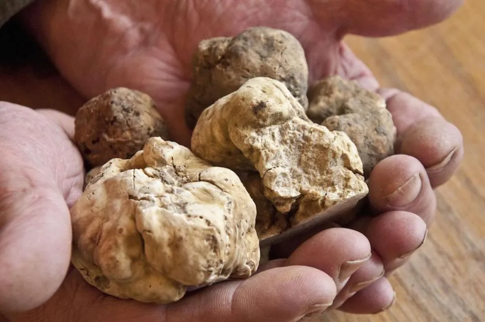 Food in Ristorante Locanda Milano