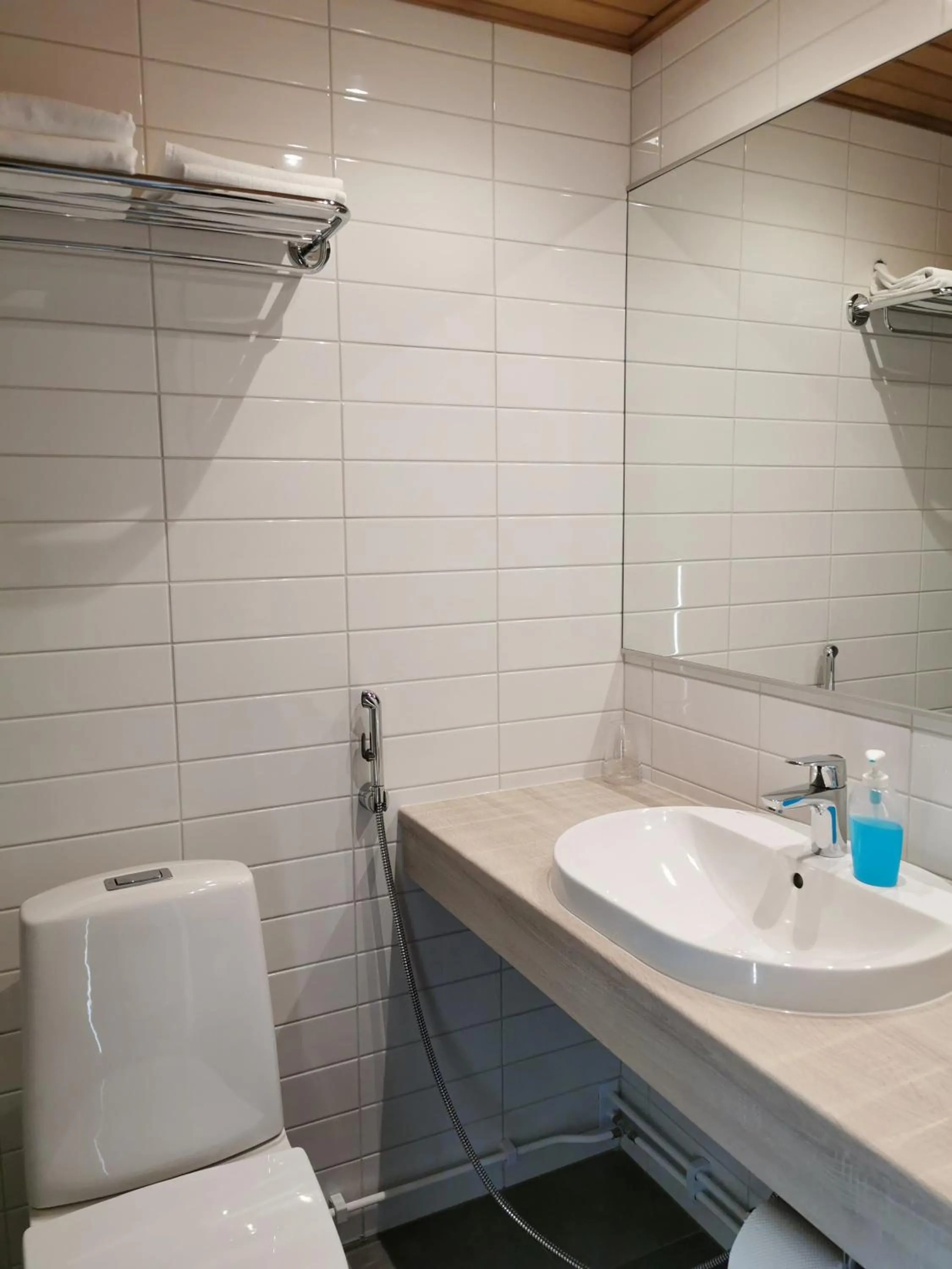 Shower in Sport Hotel Kantri