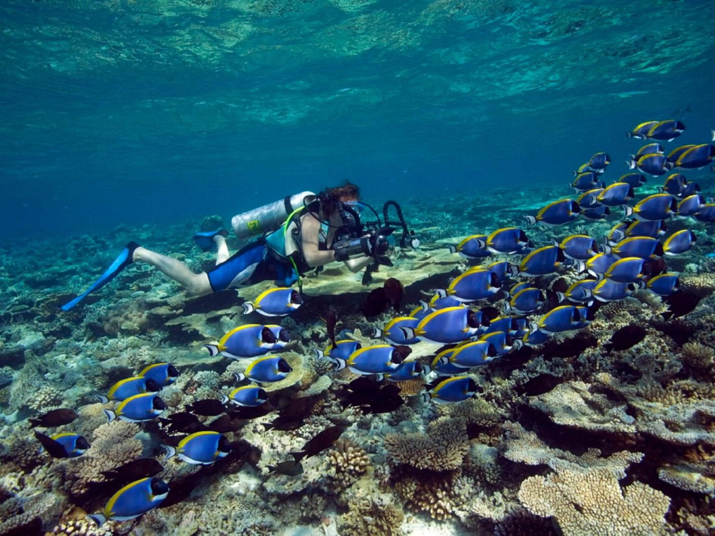 Sports in Dhawa Ihuru, part of Banyan Group