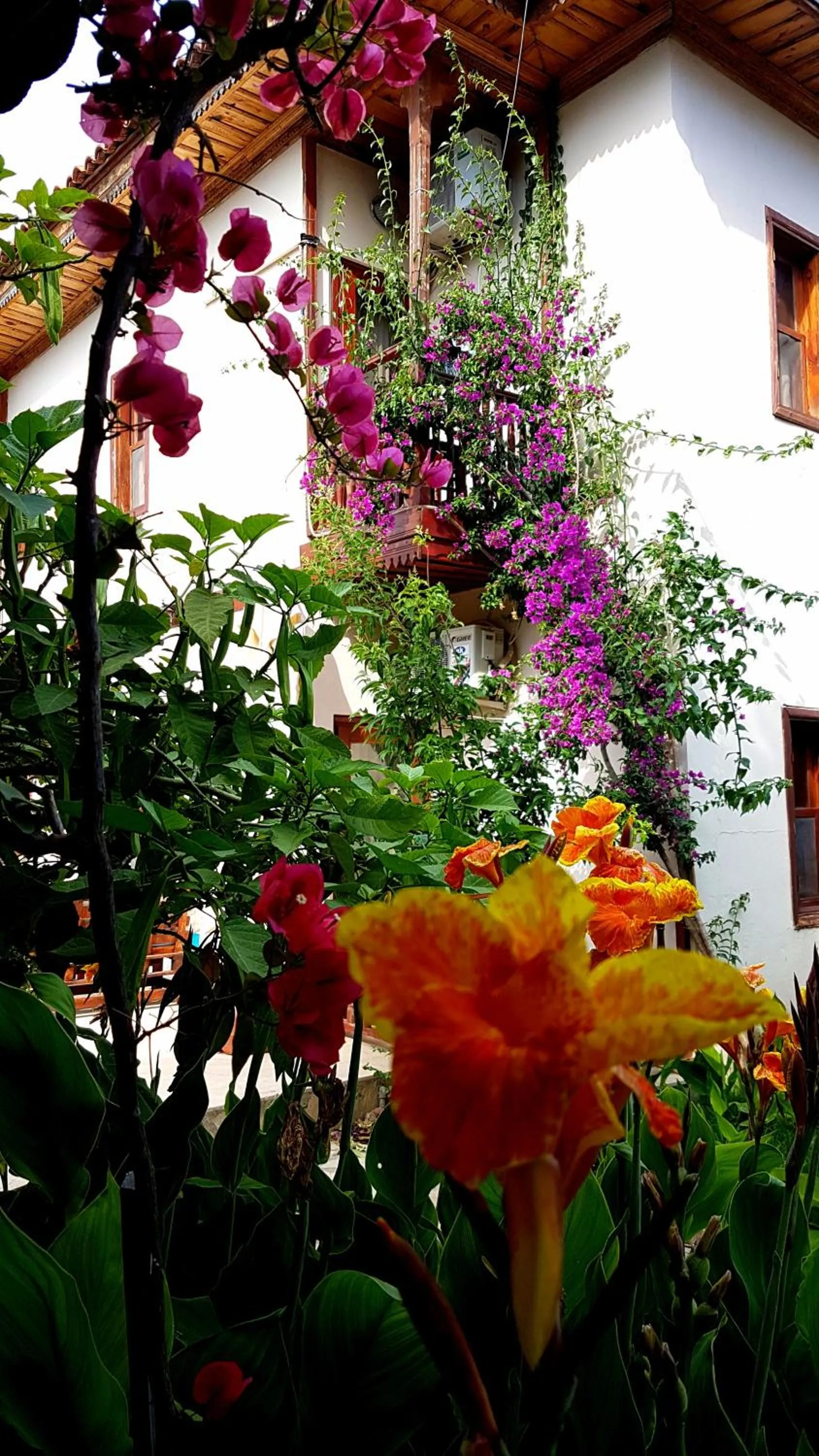 Garden in Konak Su Hotel