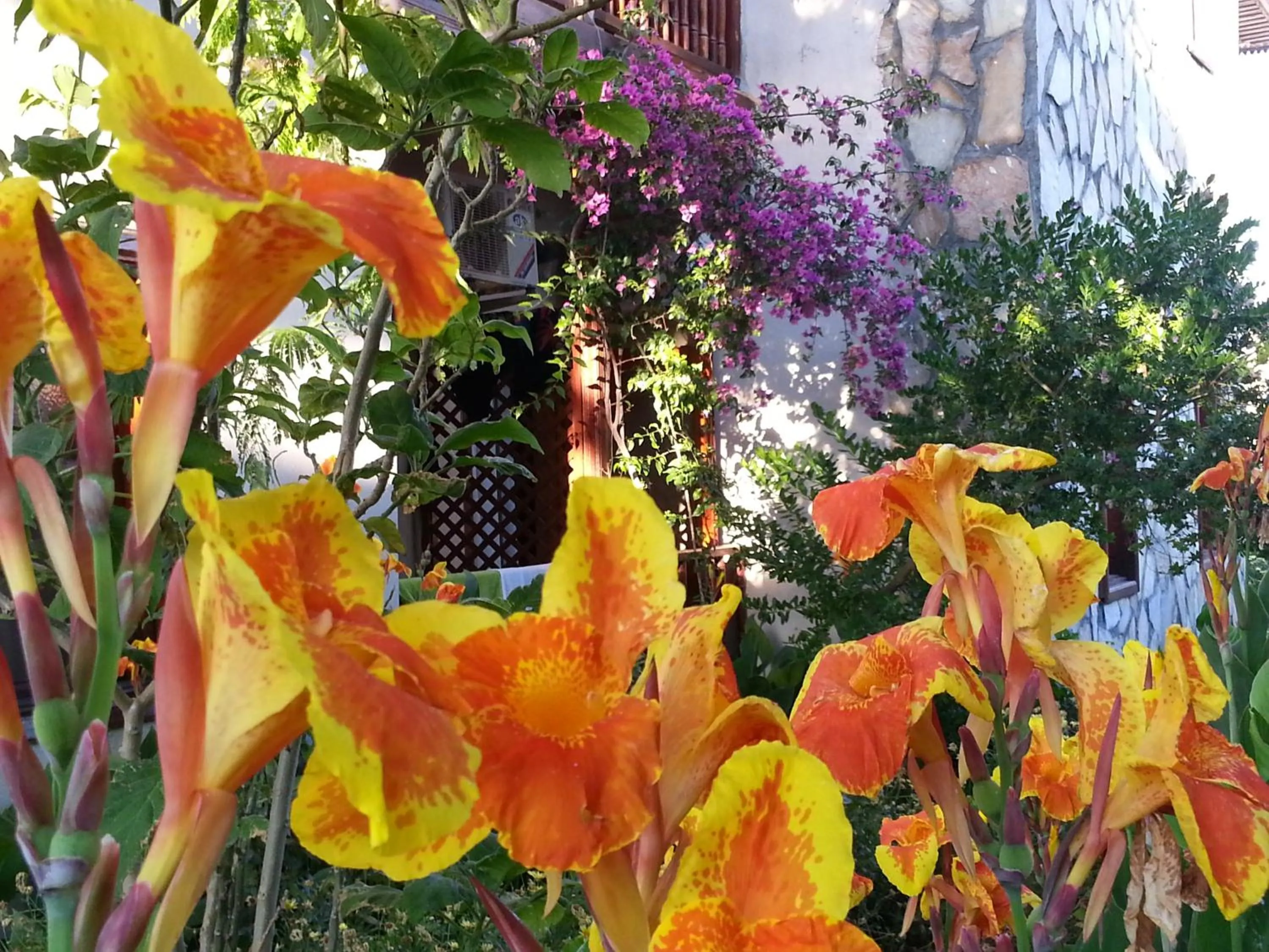 Garden in Konak Su Hotel