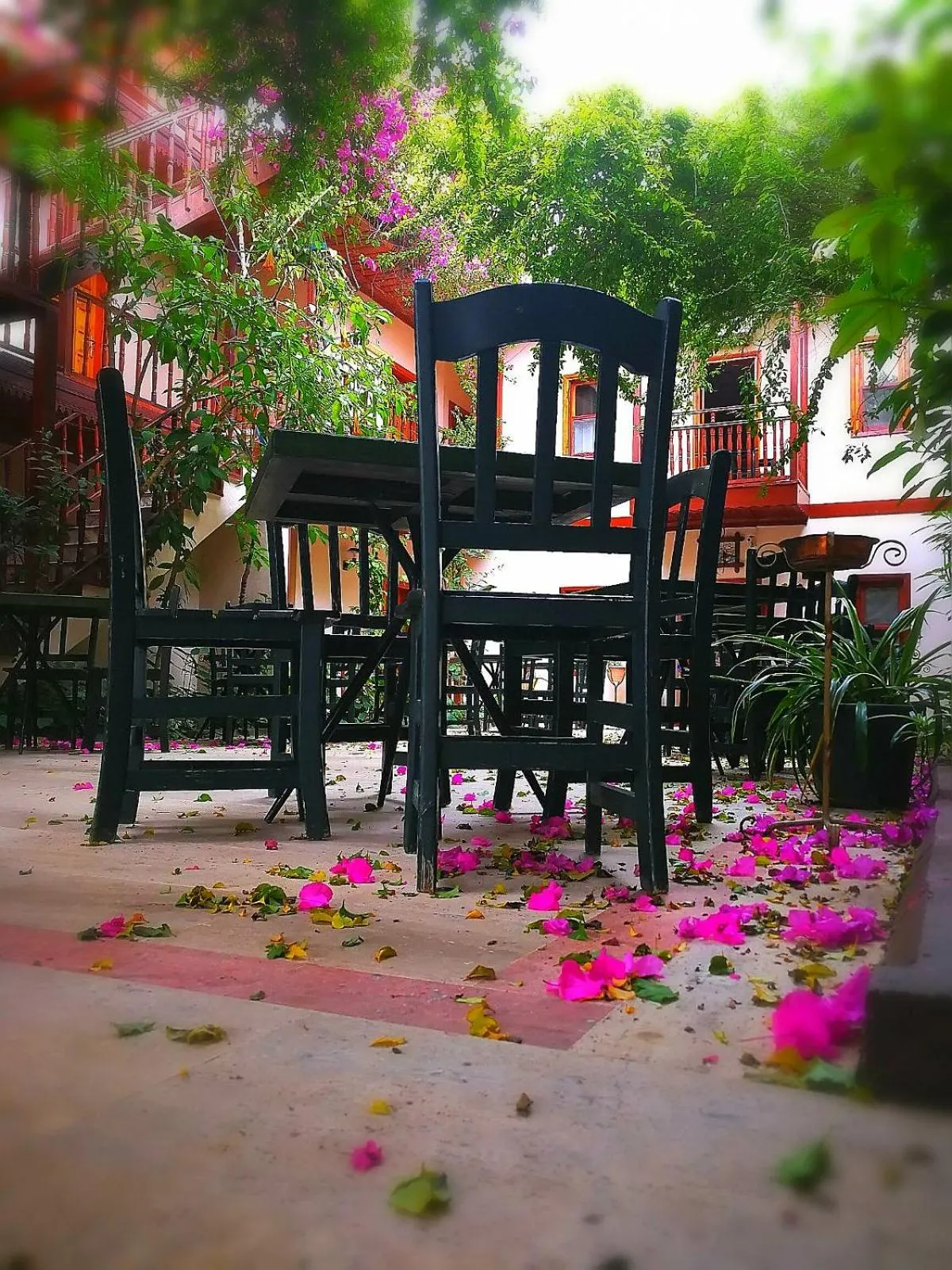 Patio in Konak Su Hotel