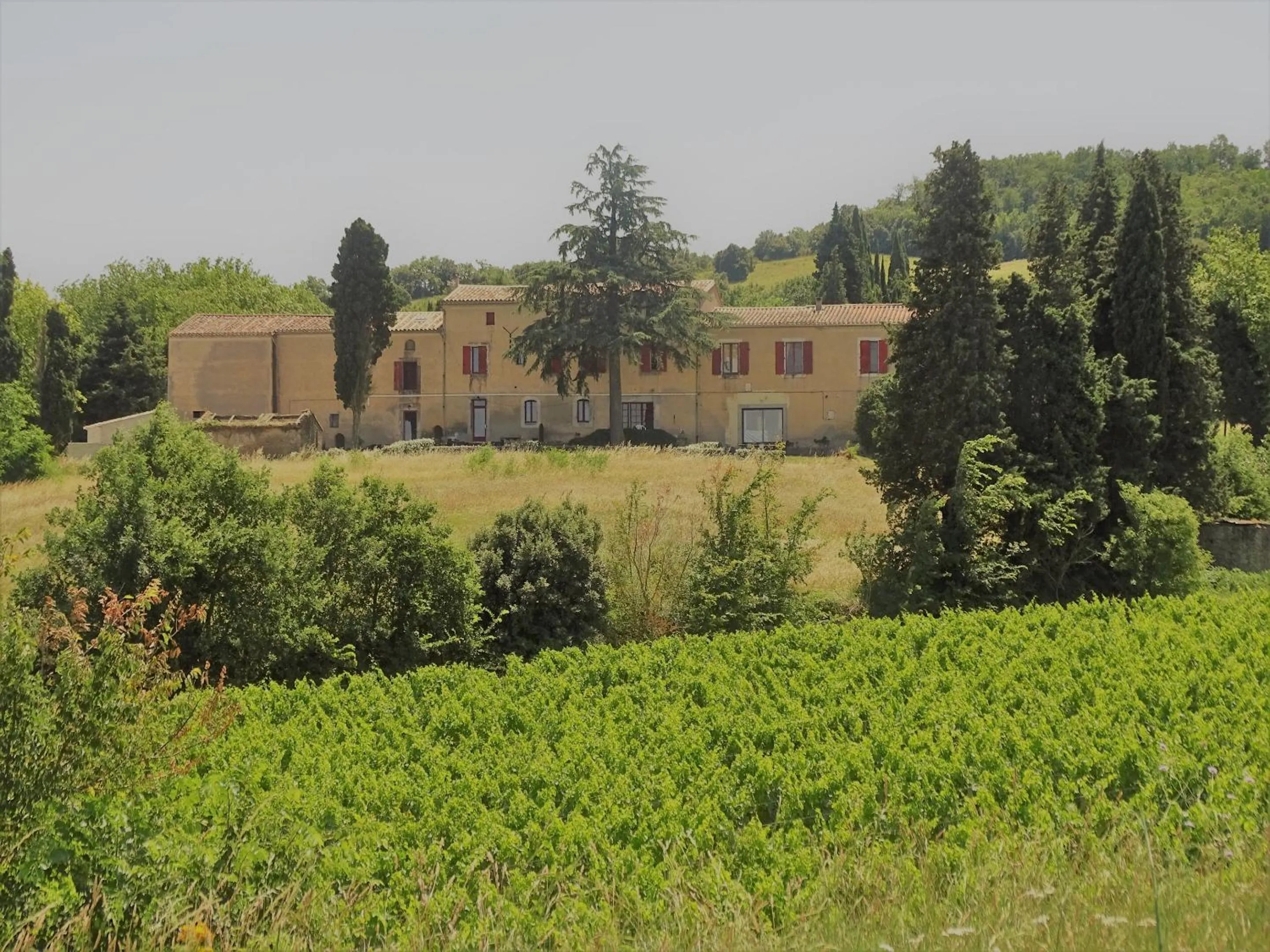 View (from property/room) in Domaine De La Petite Tour