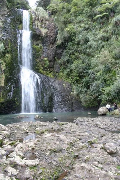 Natural landscape in Piha Beachstay Accommodation