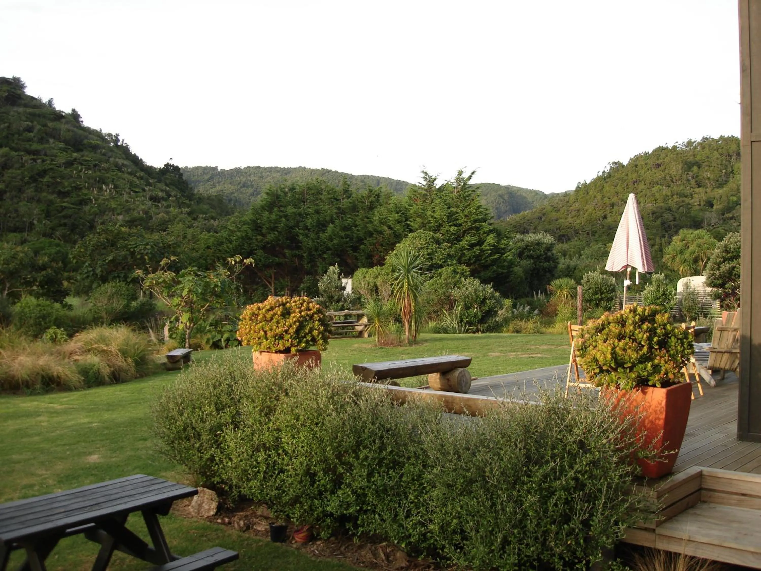 Natural landscape in Piha Beachstay Accommodation