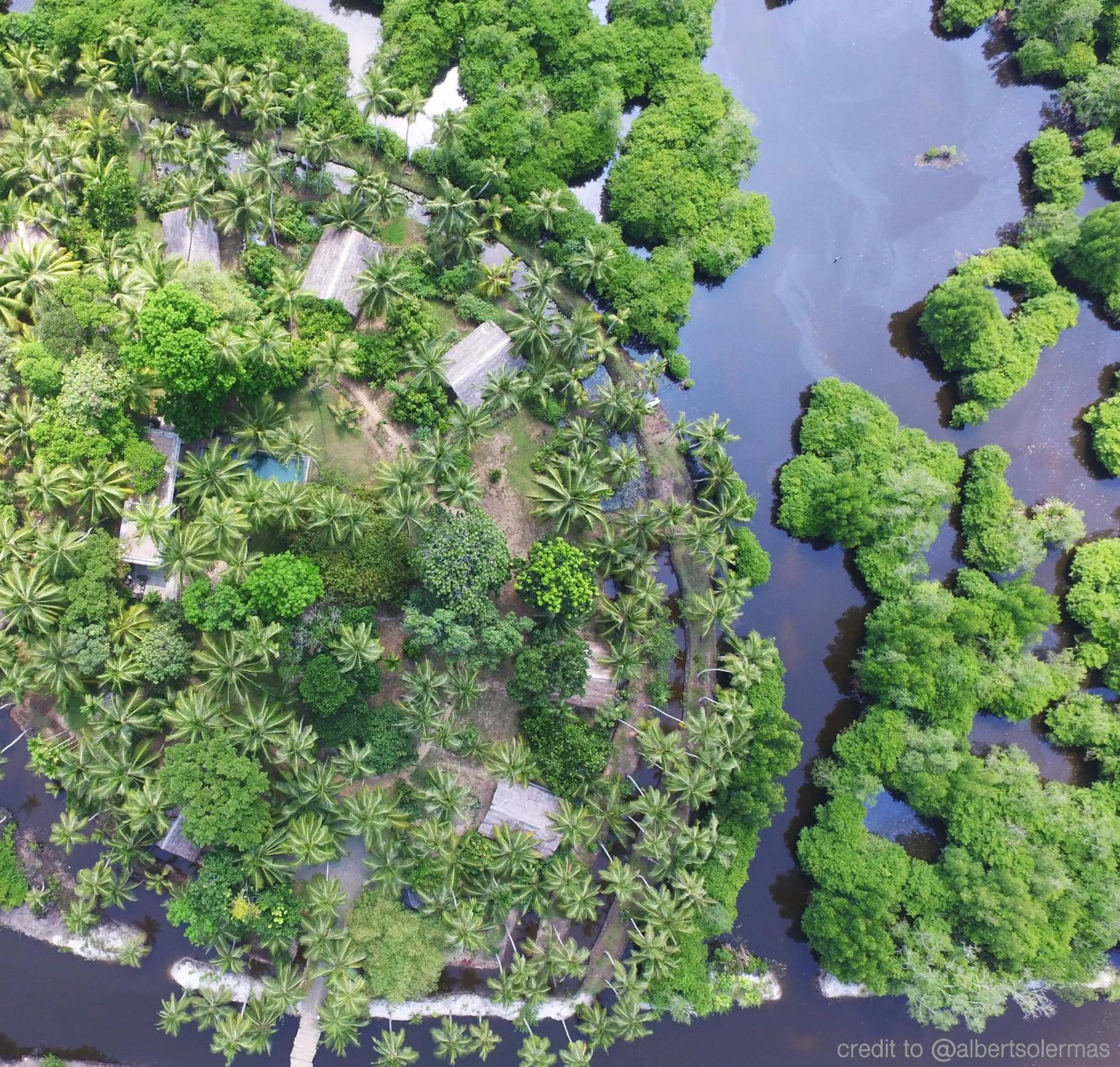 Natural landscape in KAJU GREEN eco lodges