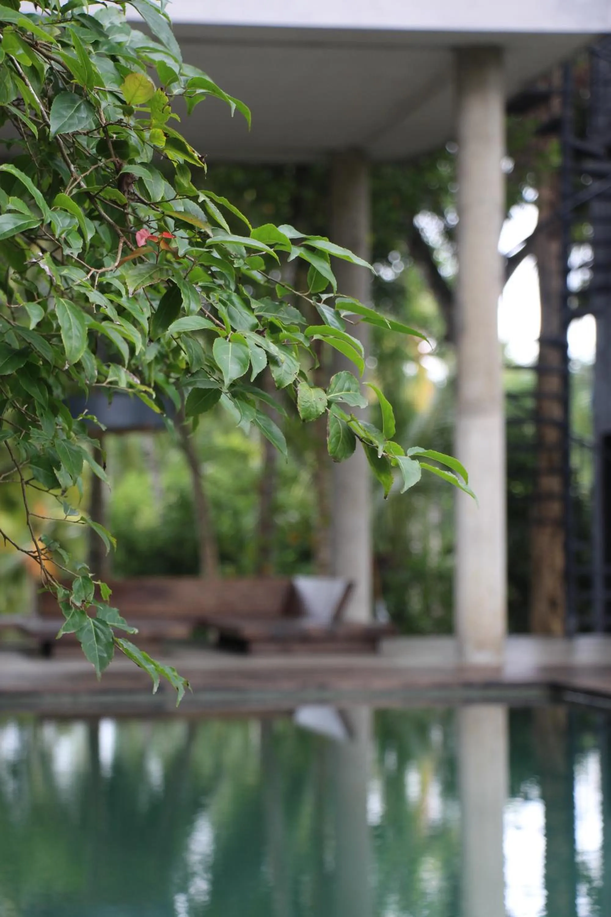 Lounge or bar in KAJU GREEN eco lodges