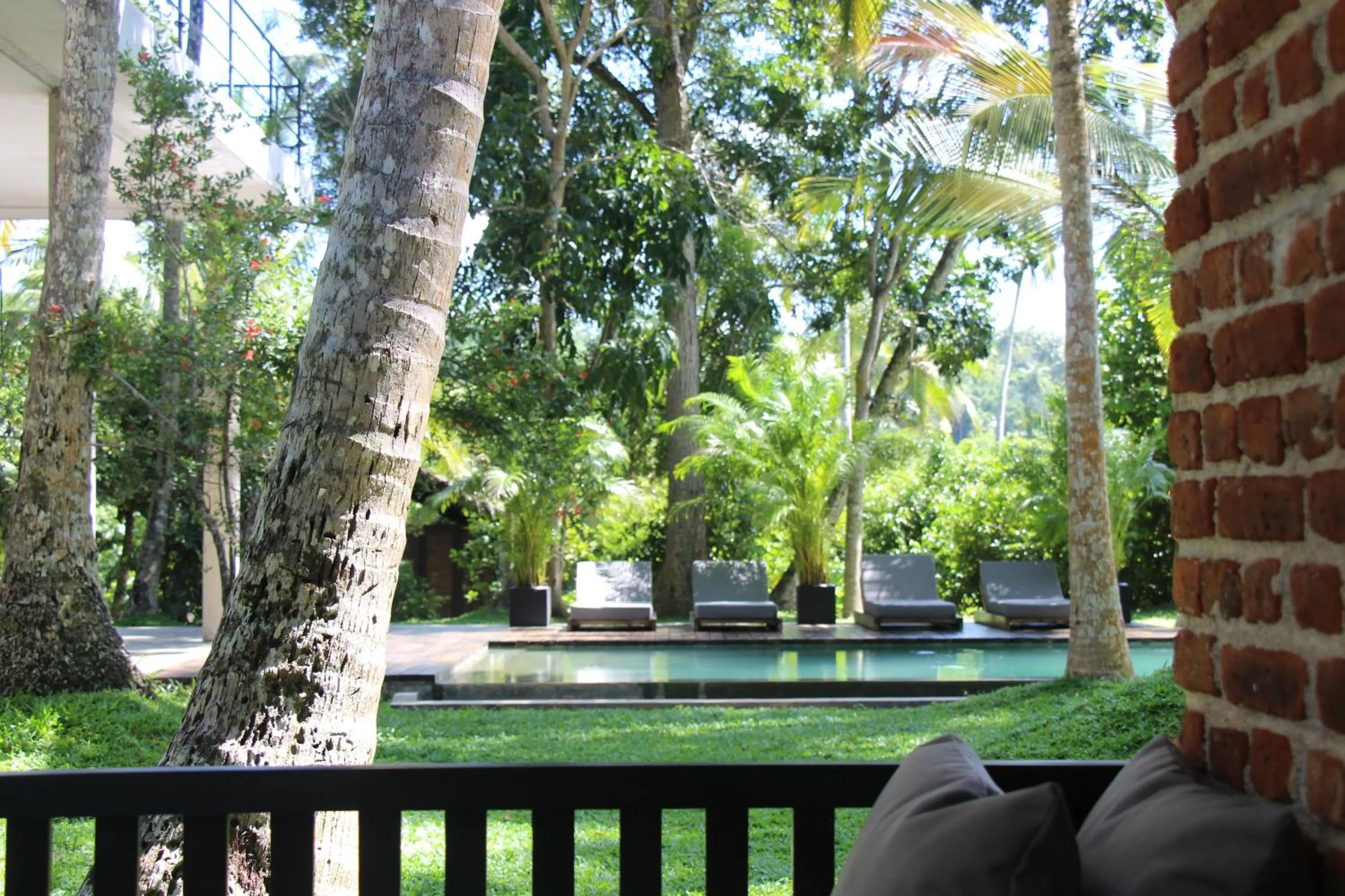 Swimming pool in KAJU GREEN eco lodges