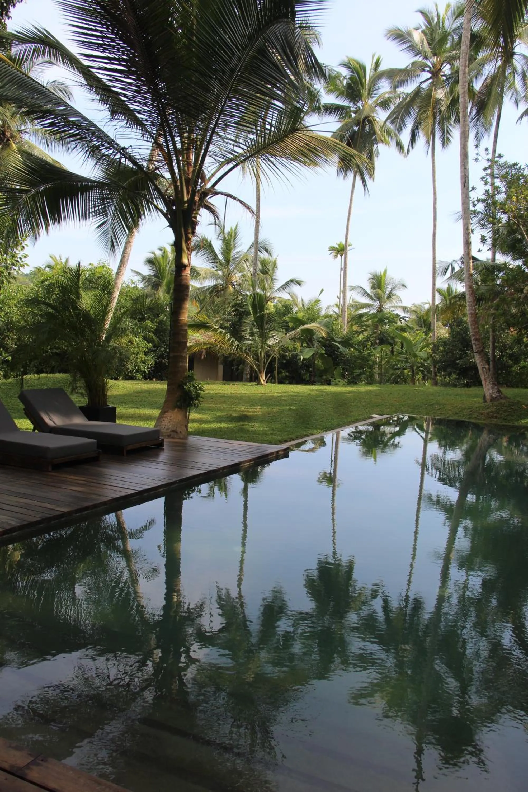 Swimming pool in KAJU GREEN eco lodges
