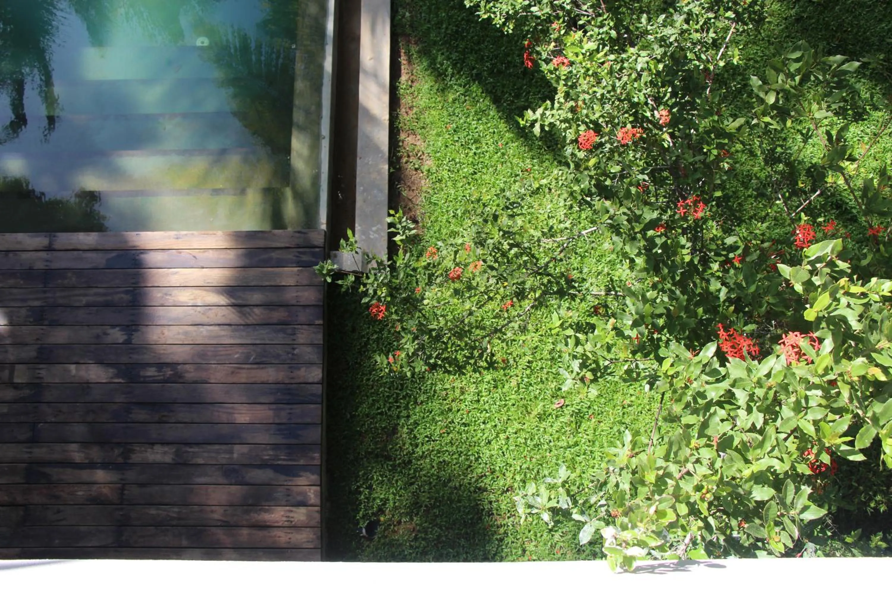 Swimming pool in KAJU GREEN eco lodges