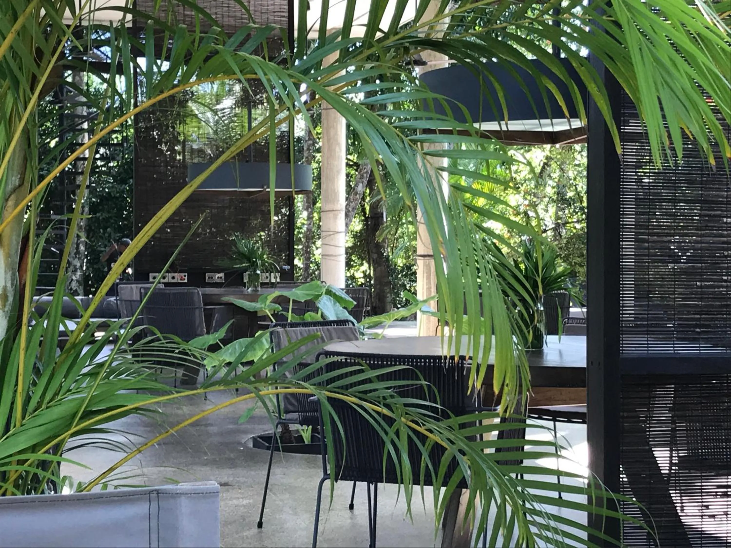 Restaurant/places to eat in KAJU GREEN eco lodges