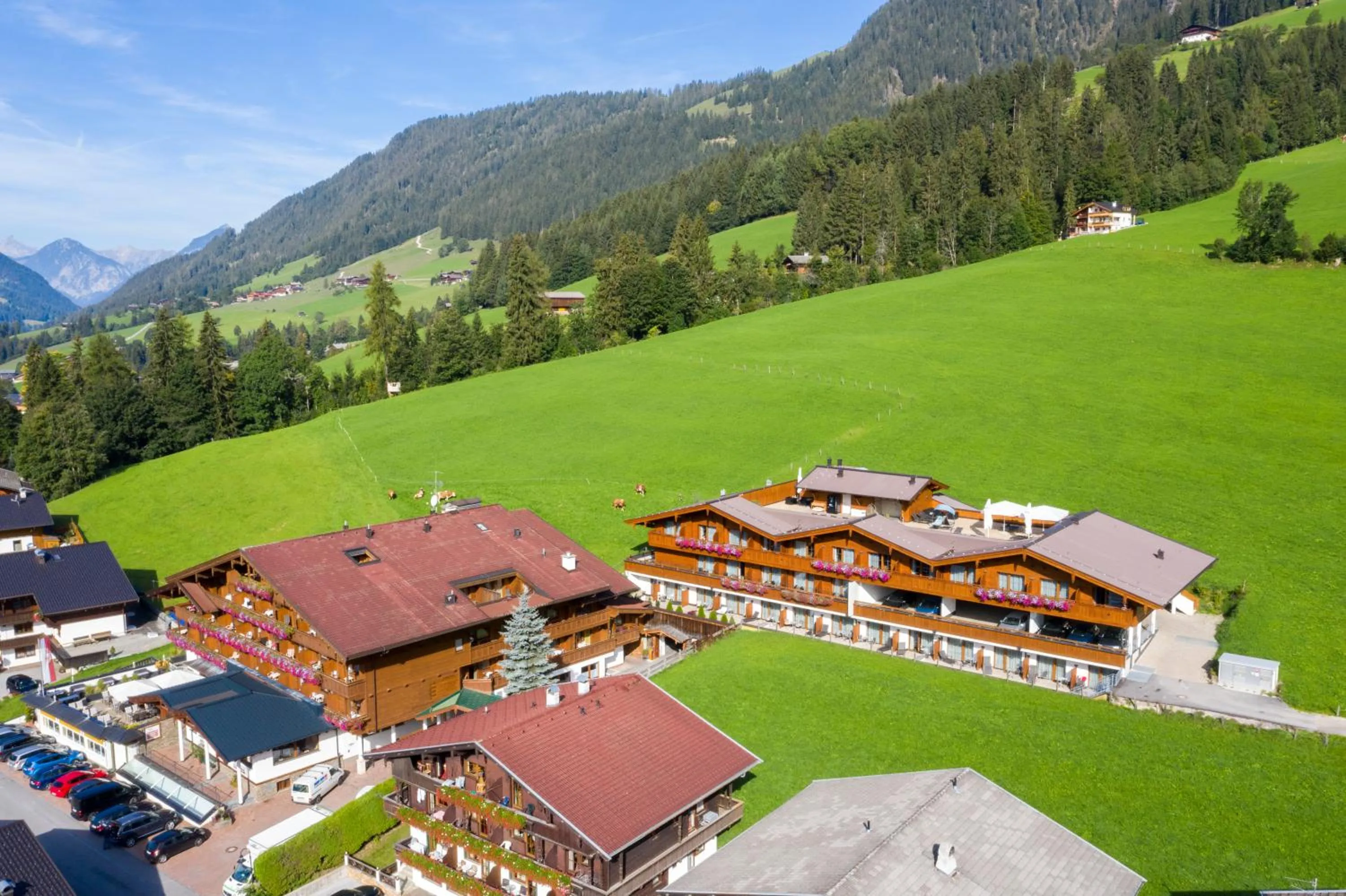 Bird's eye view in Hotel Alphof Alpbach