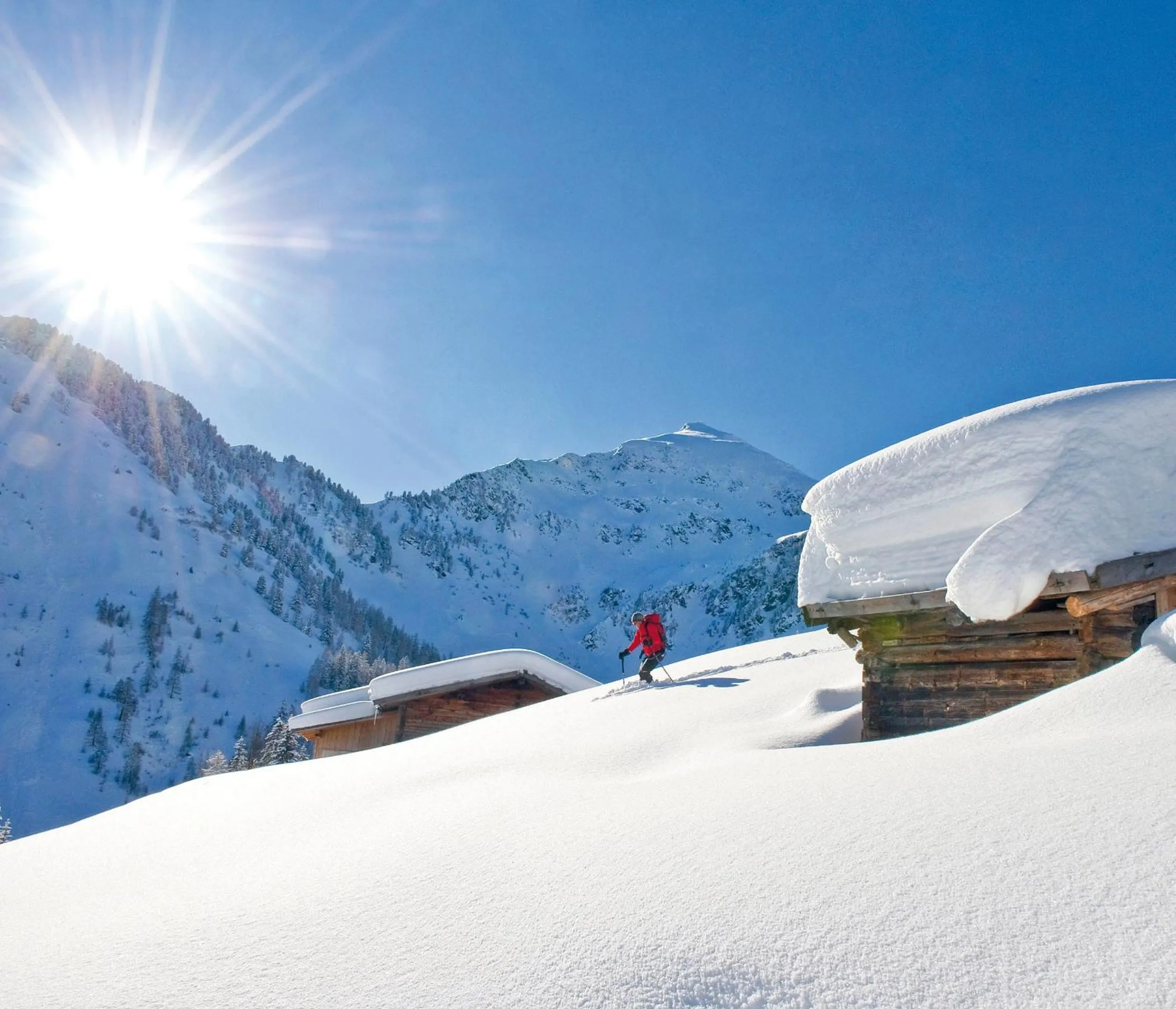 Skiing in Hotel Alphof Alpbach