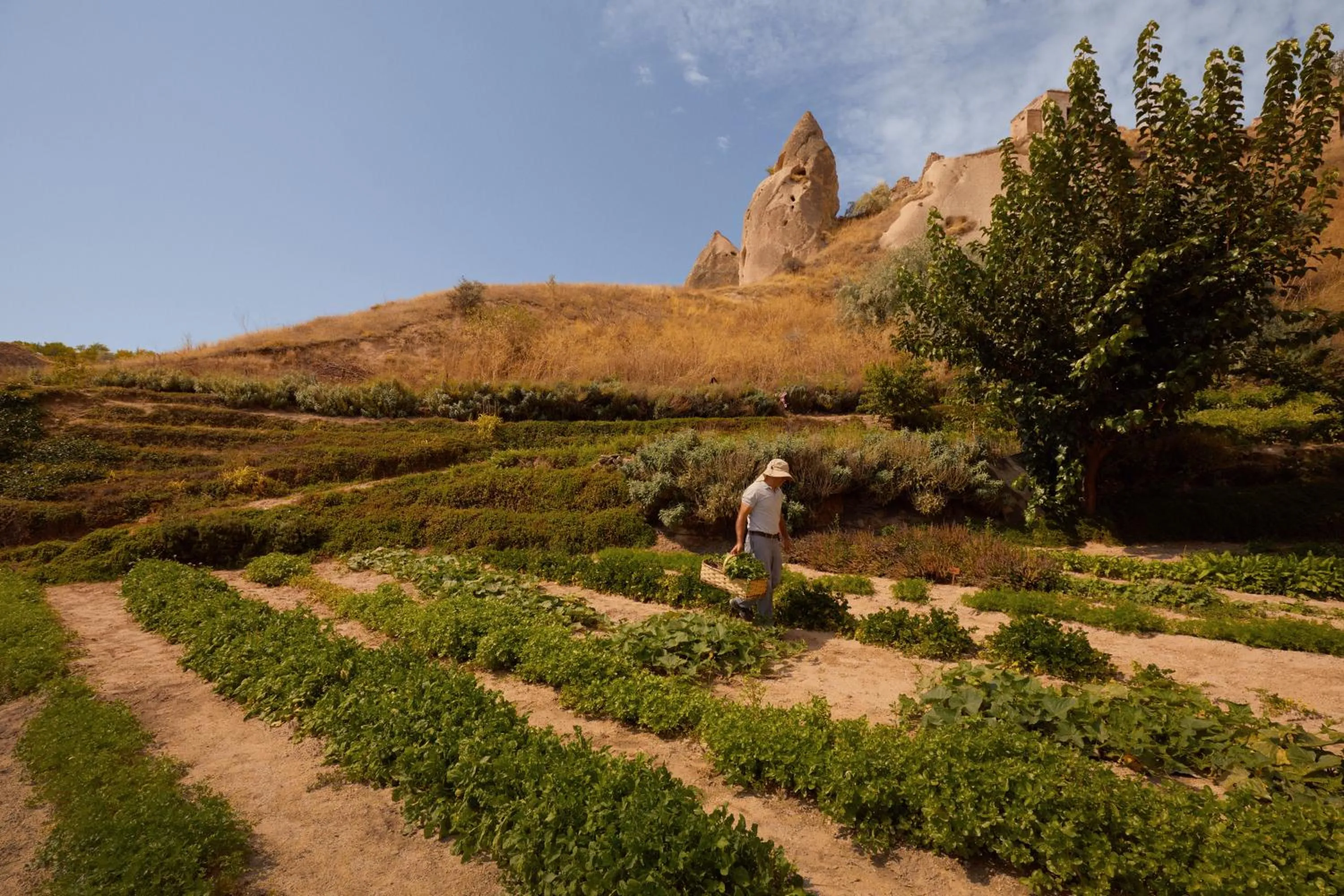 Natural landscape in Argos in Cappadocia