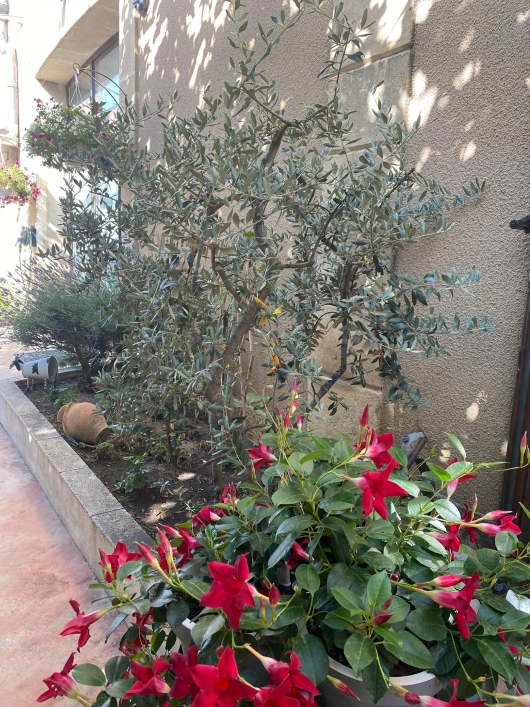 Garden in L'atelier B&B