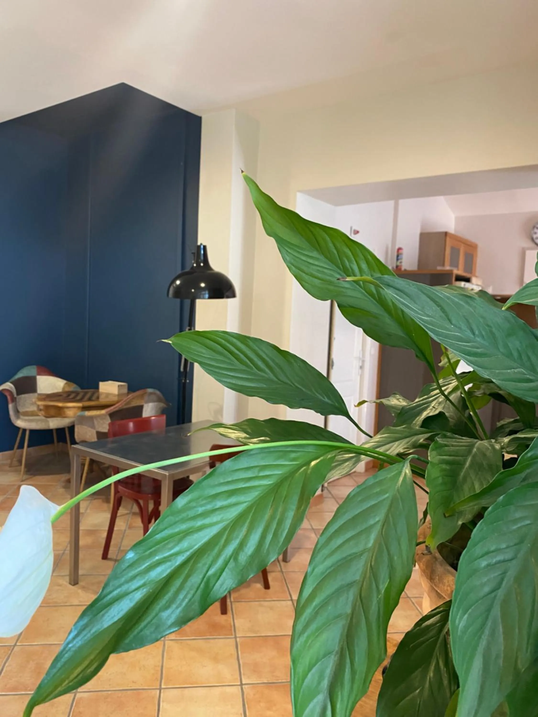 Property building in L'atelier B&B