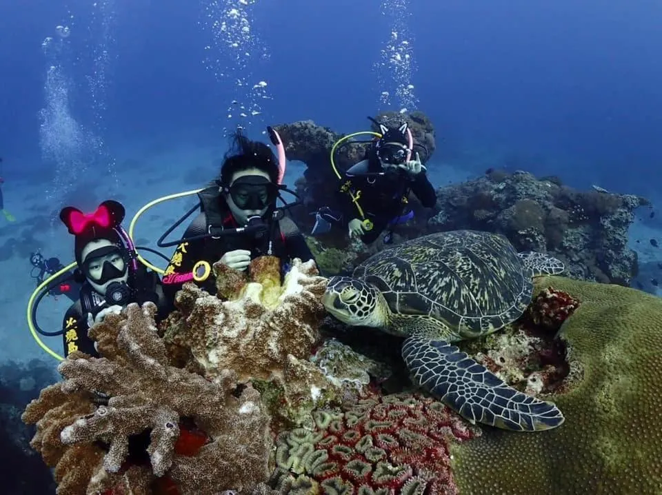 Fire Island Guest House