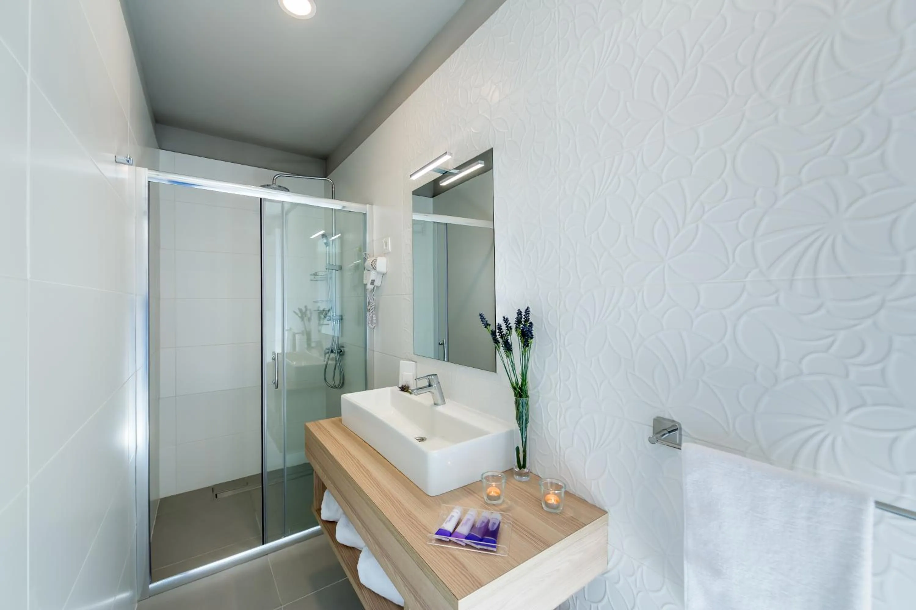 Shower in Apartments & Rooms Preelook