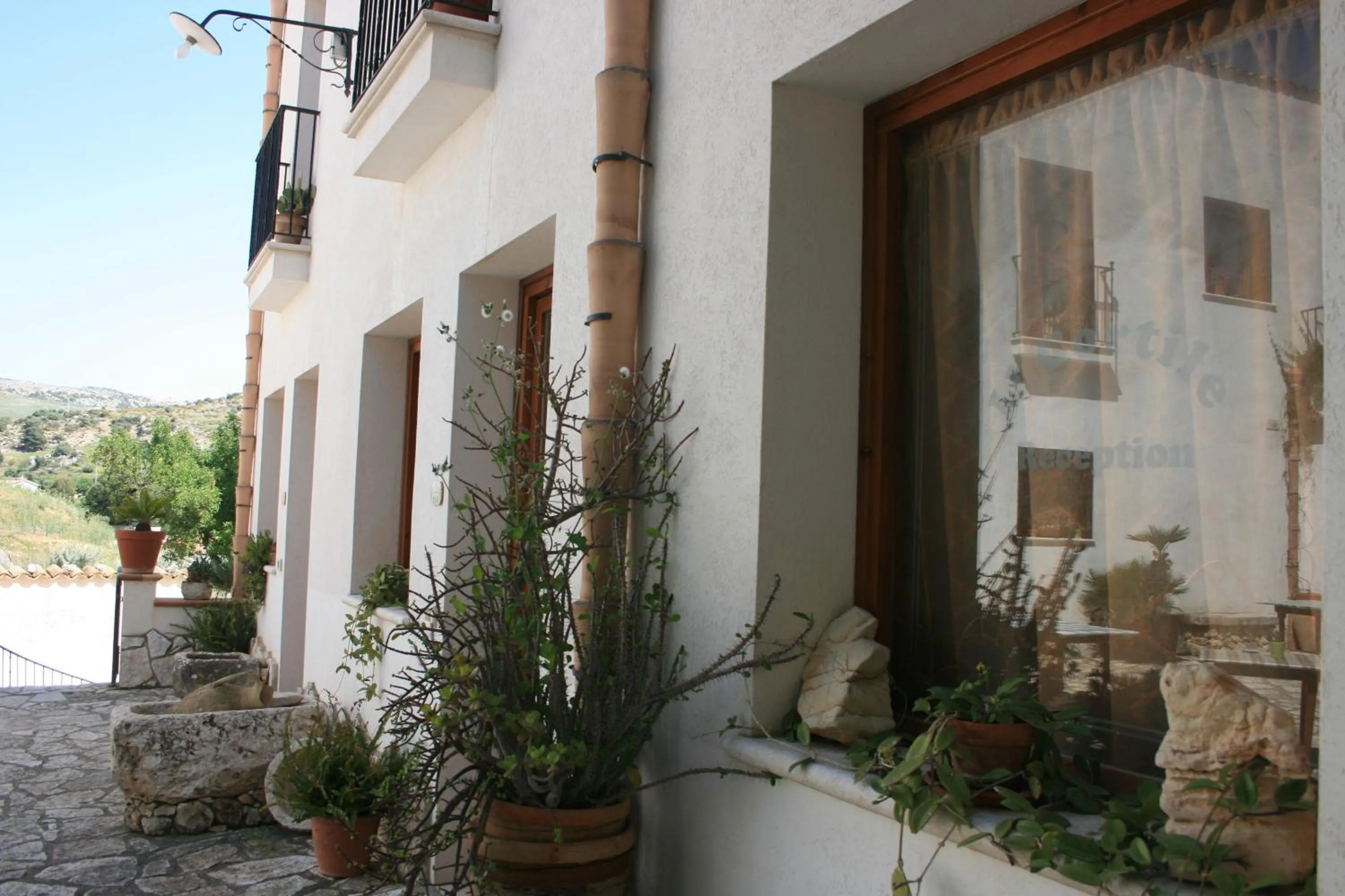 Garden in Hotel Il Cortile
