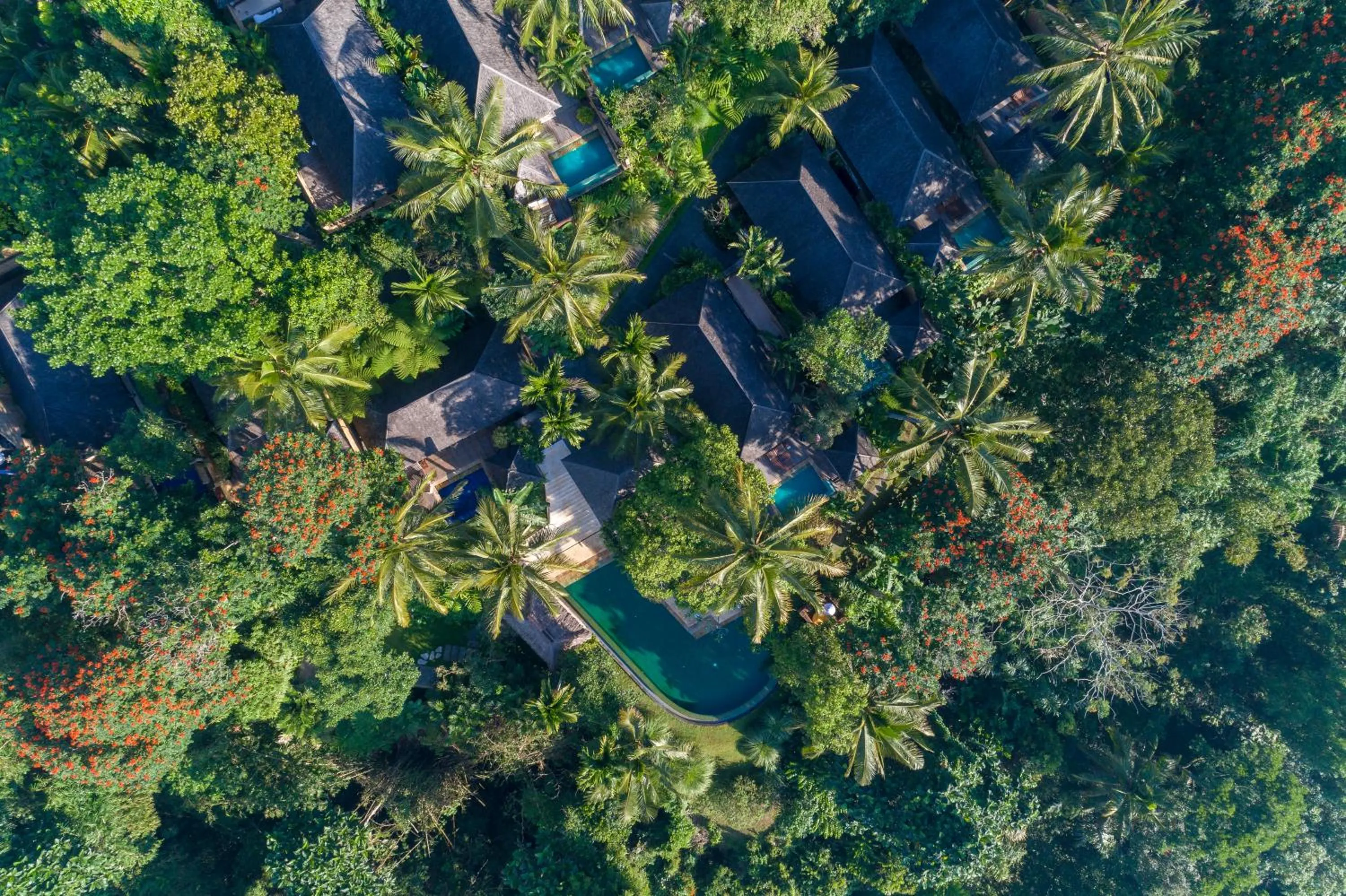 Bird's eye view in Komaneka at Tanggayuda Ubud