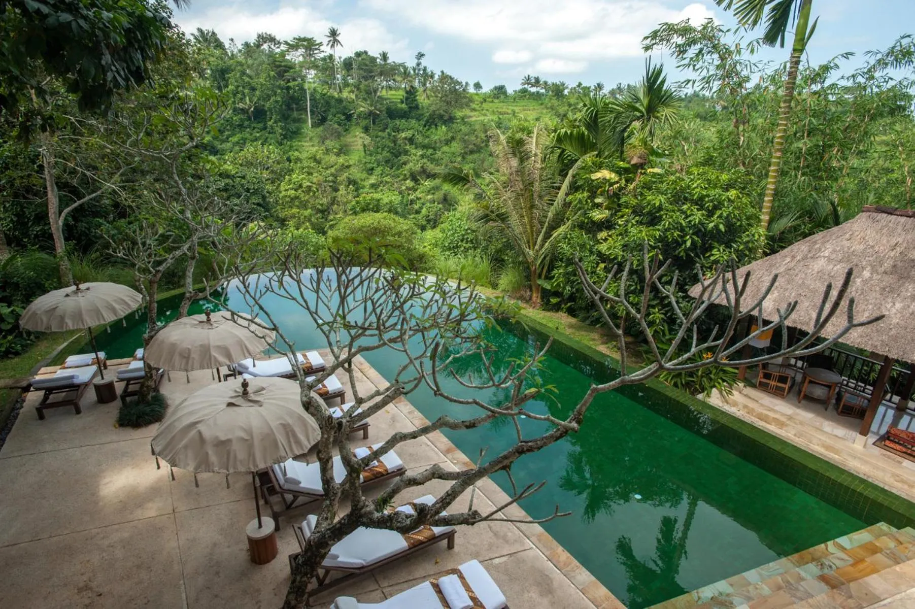 View (from property/room) in Komaneka at Tanggayuda Ubud
