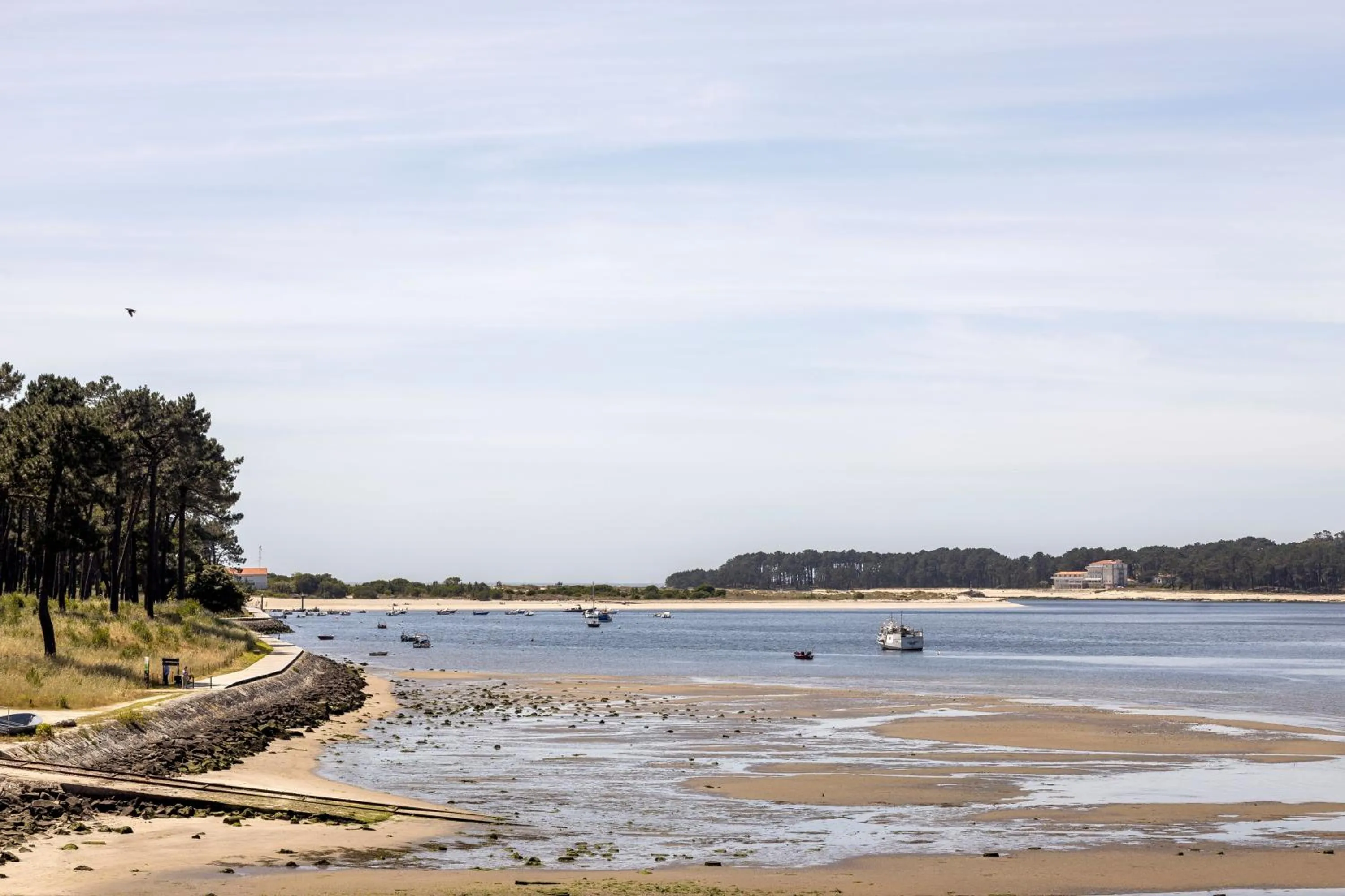 View (from property/room) in Hotel Porta do Sol Conference & SPA