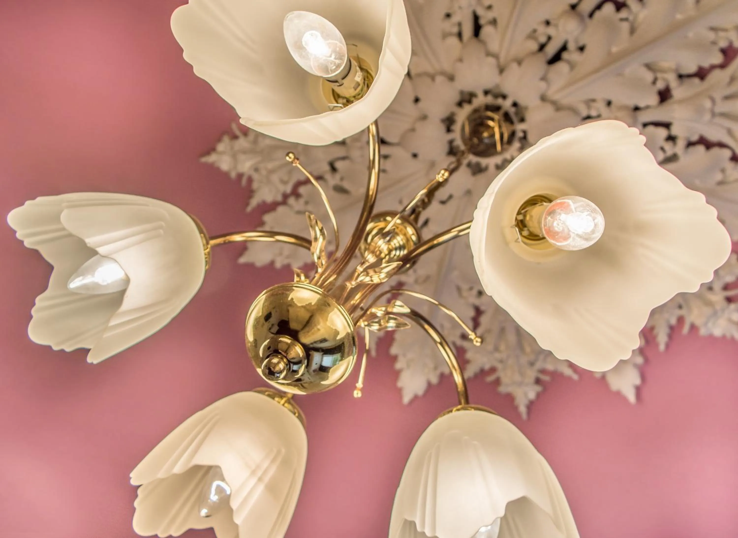 Decorative detail in Creston Villa Guest House