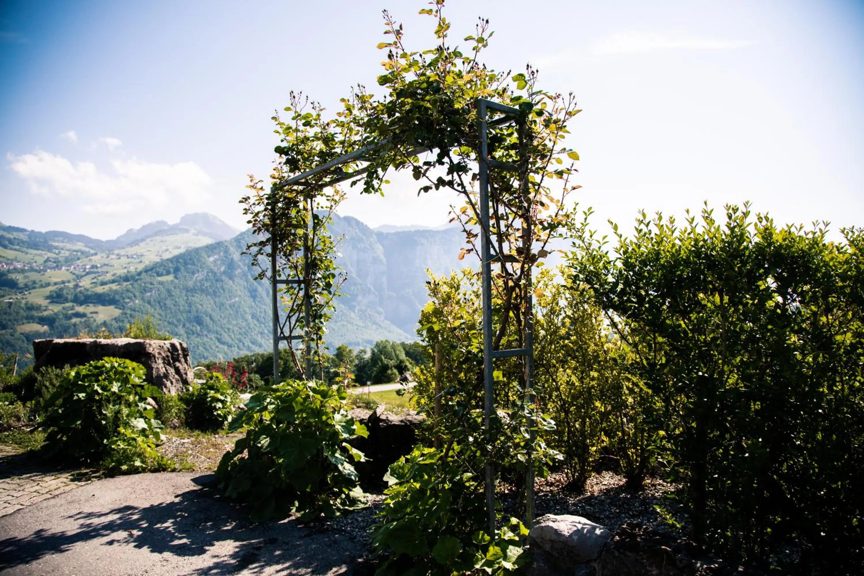 Natural landscape in Seminarhotel Lihn