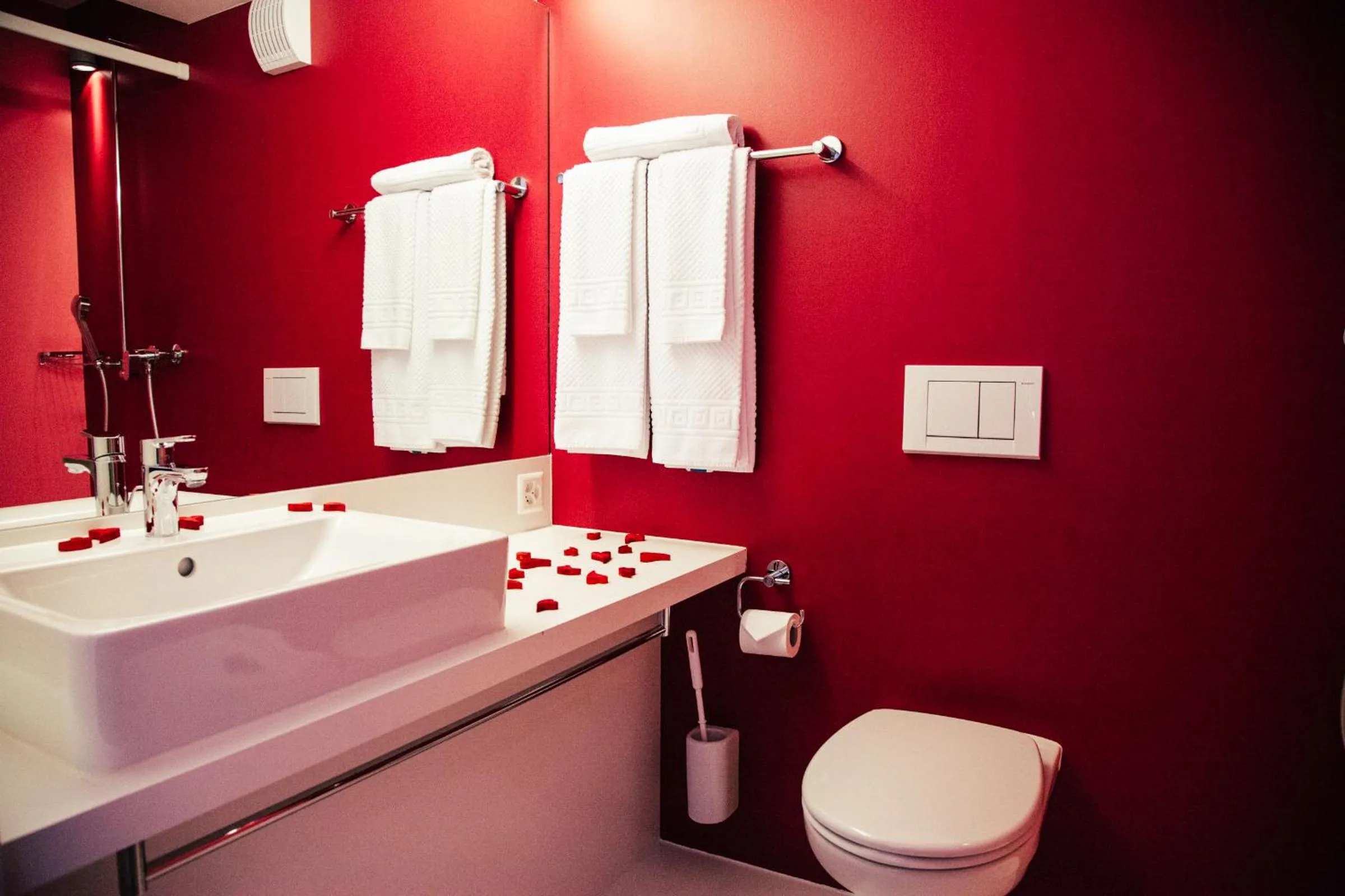 Shower in Seminarhotel Lihn