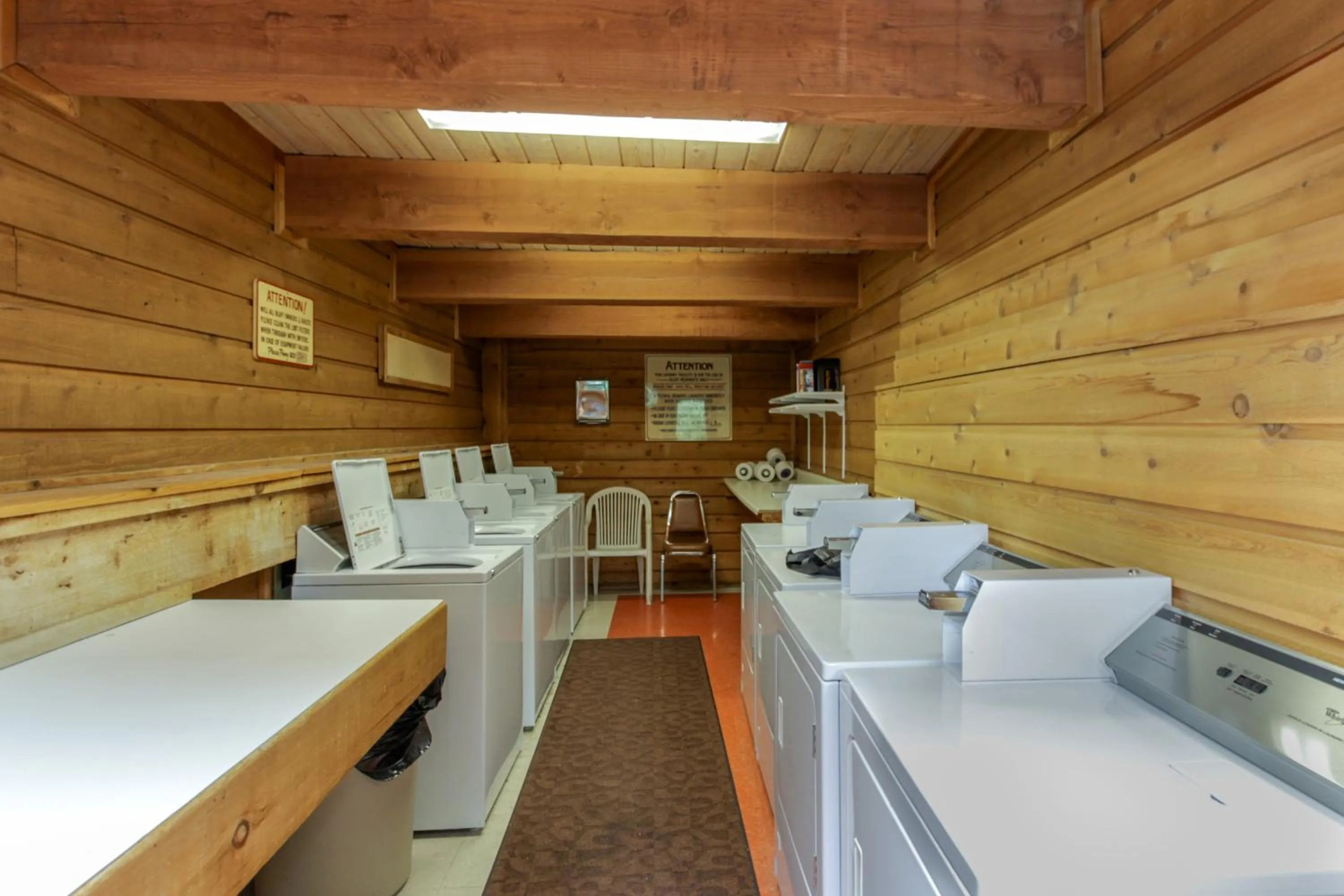 Bluff Mountain Charmer