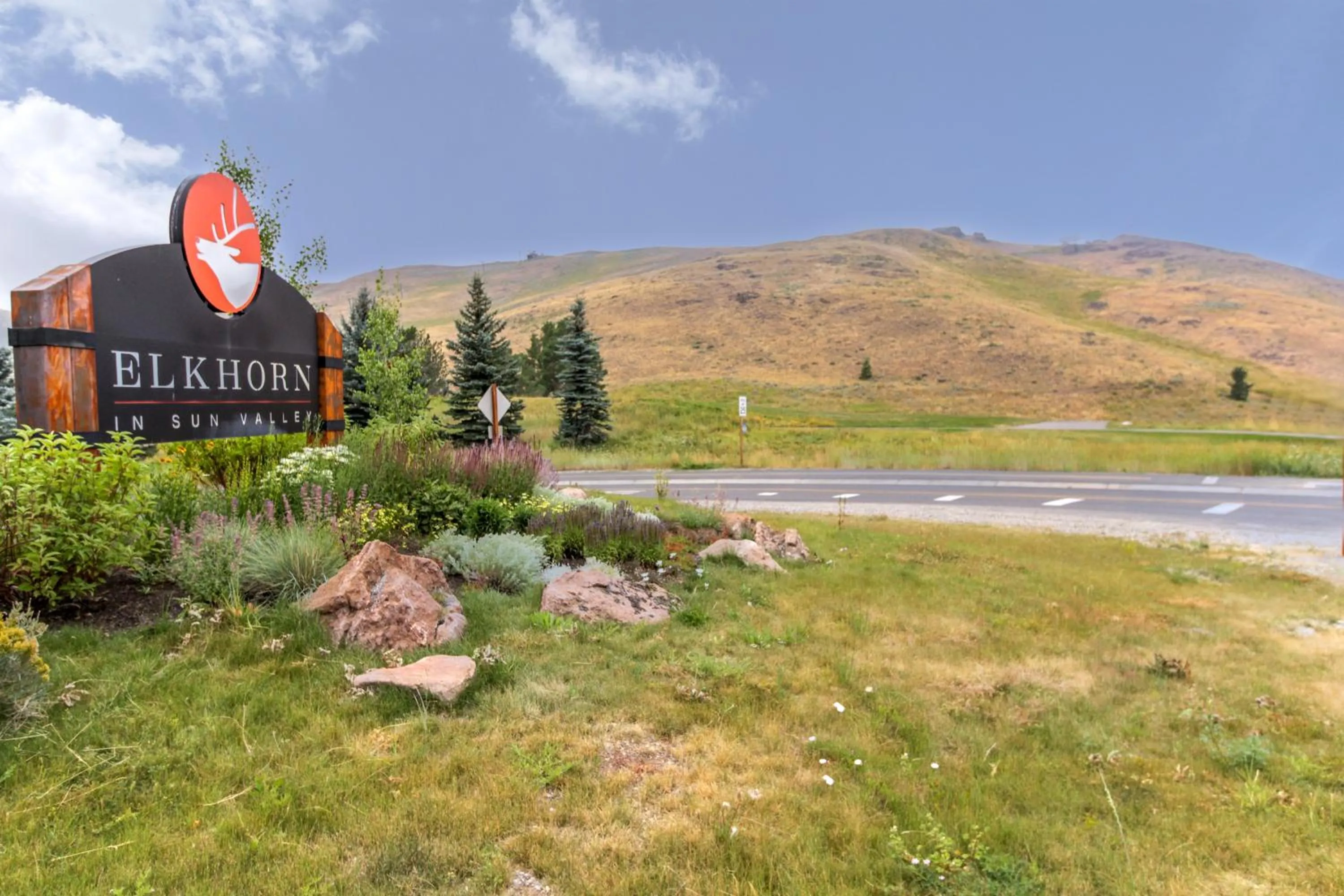 Bluff Mountain Charmer