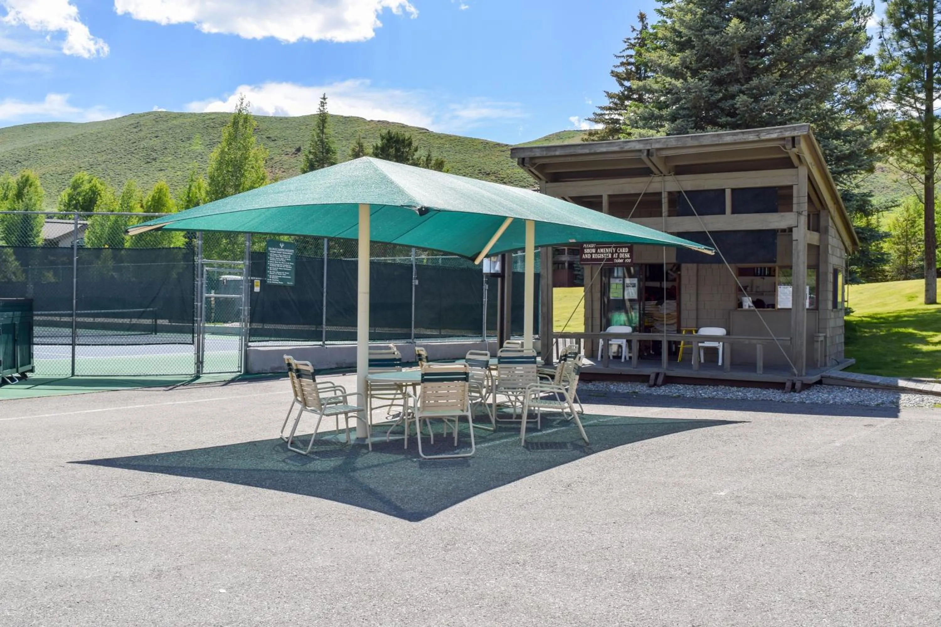 Bluff Mountain Charmer