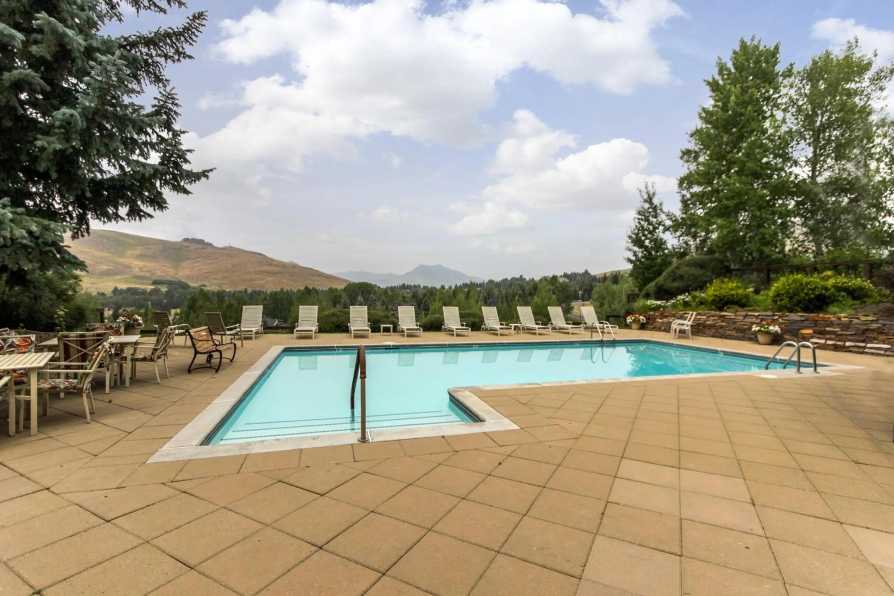 Bluff Mountain Charmer