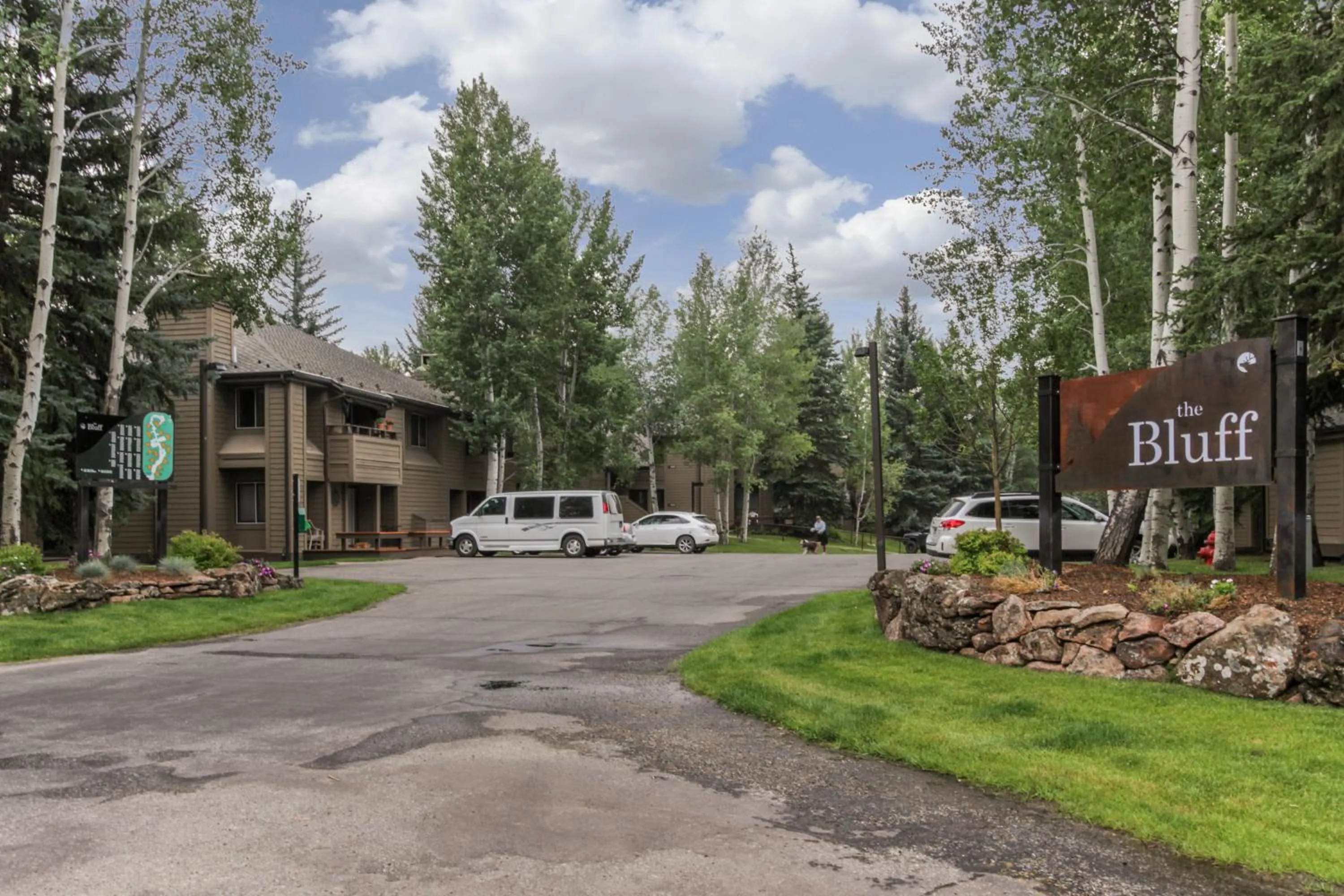 Bluff Mountain Charmer