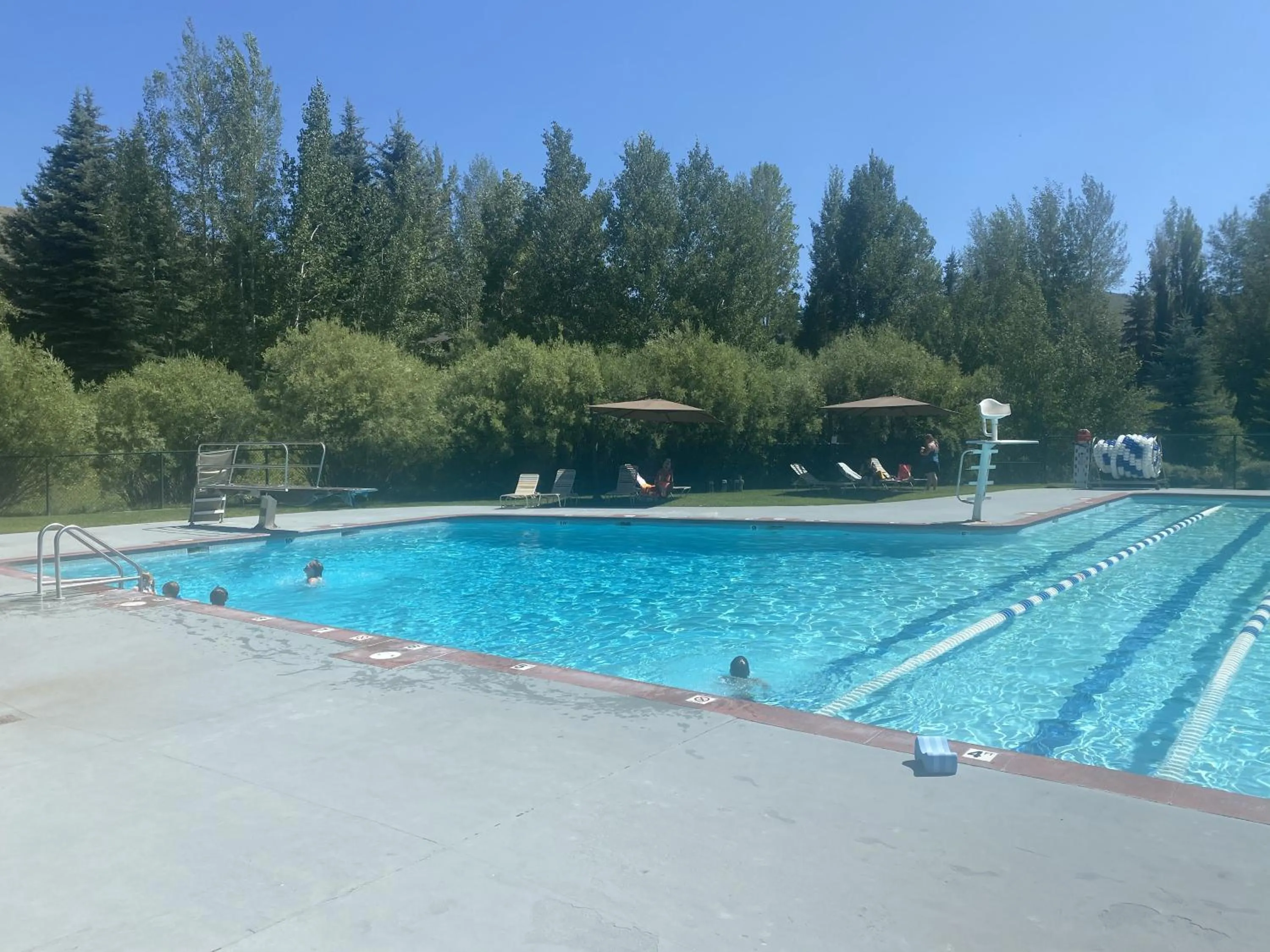 Bluff Mountain Charmer