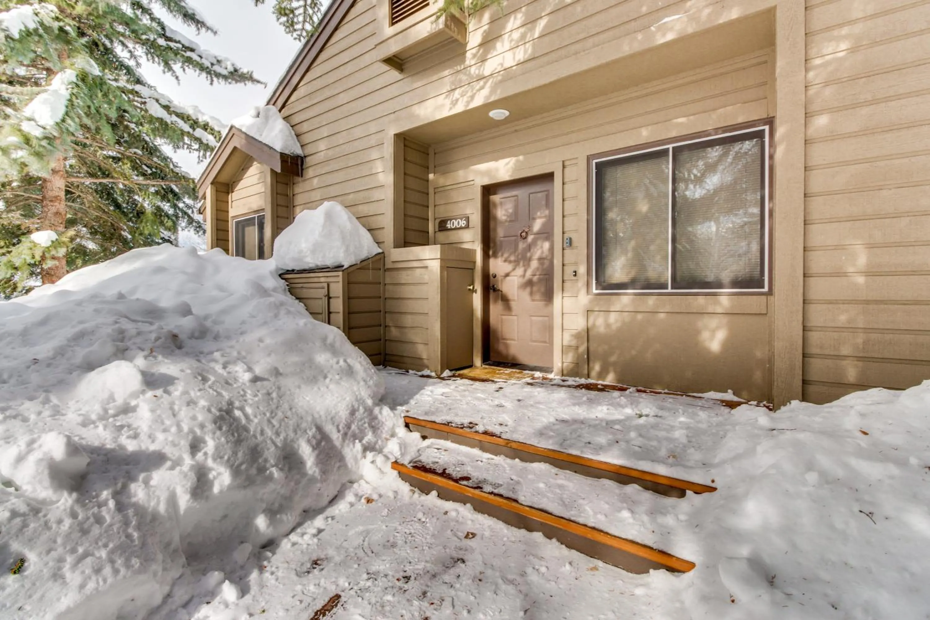 Bluff Mountain Charmer