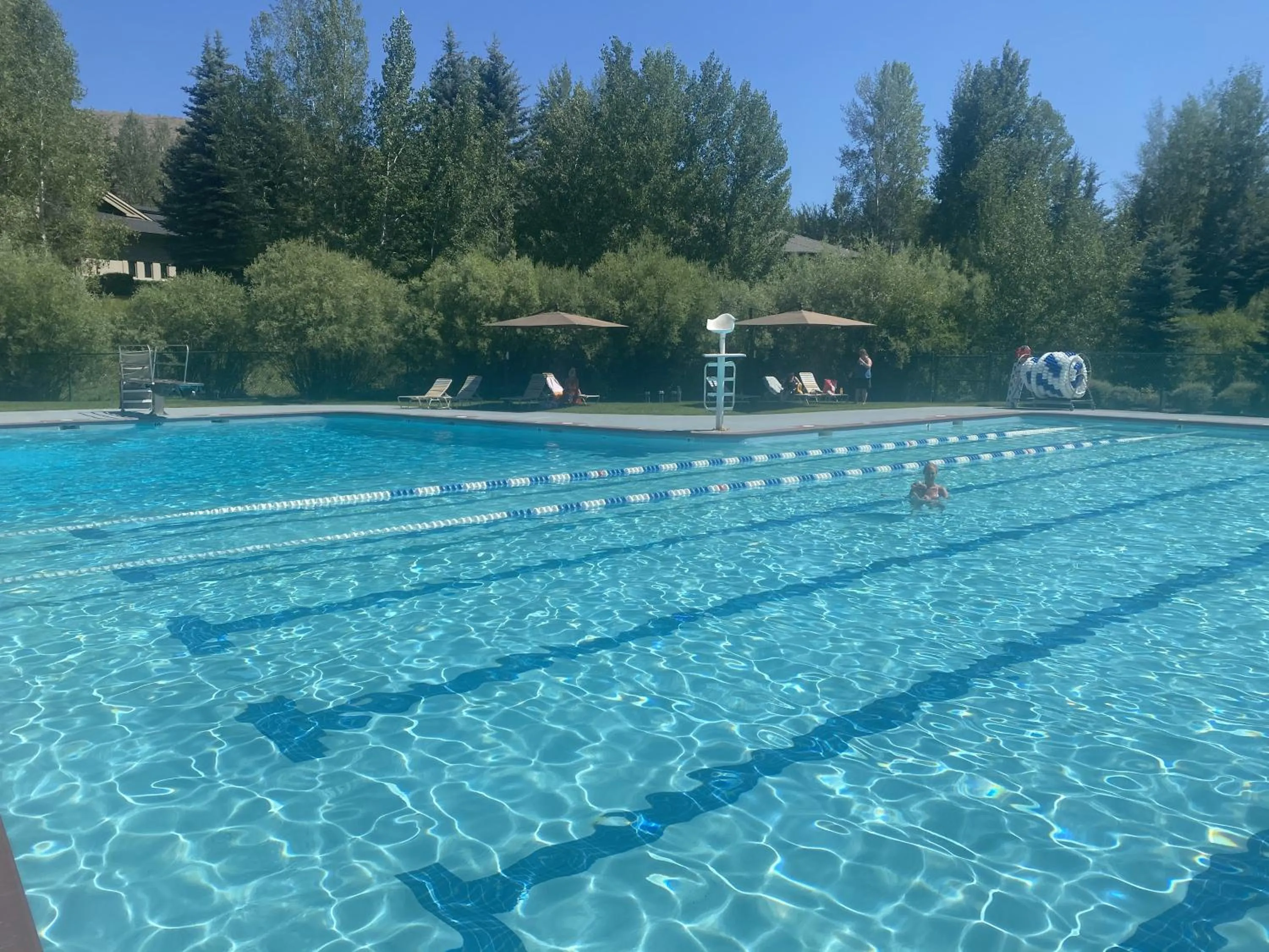 Bluff Mountain Charmer