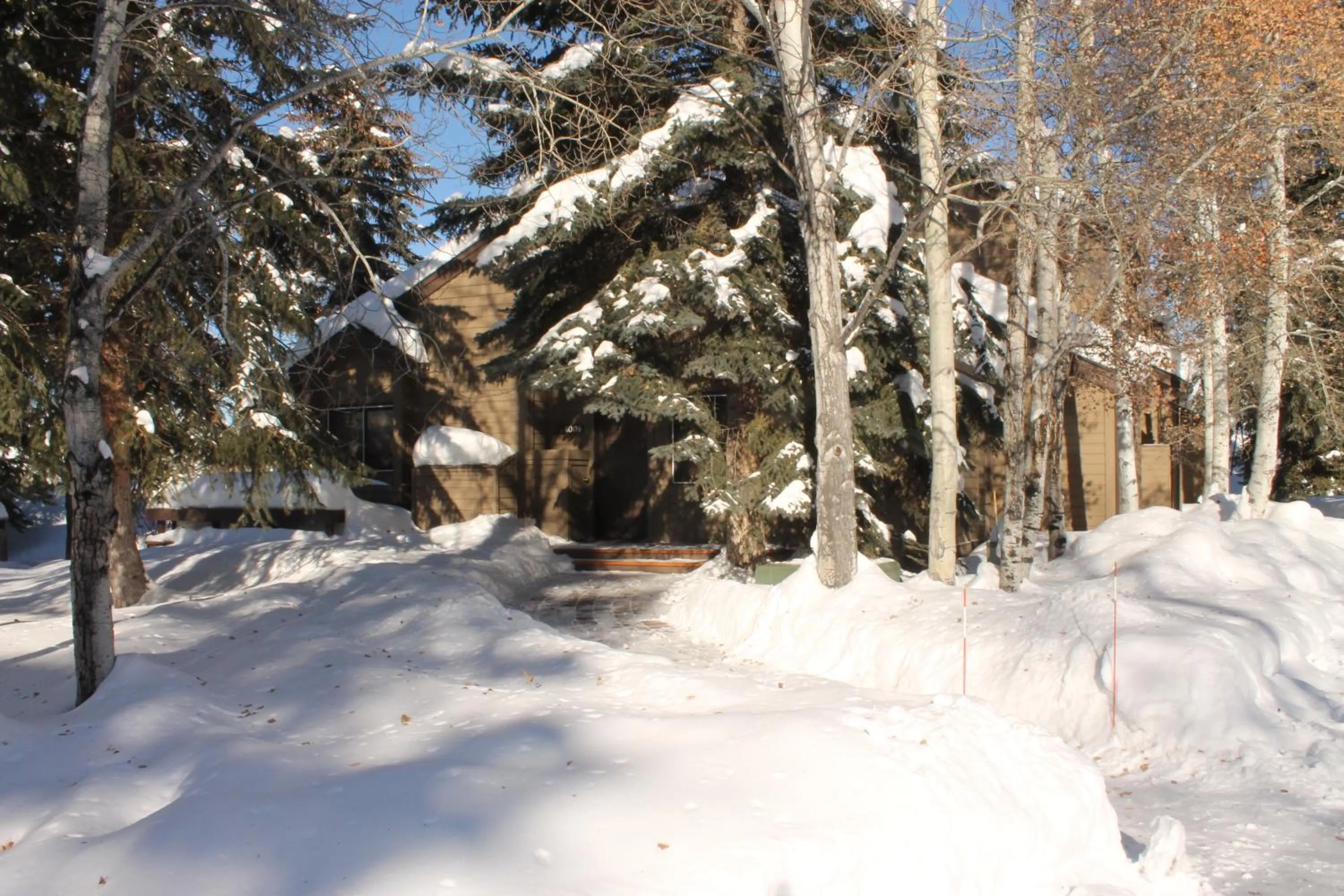 Bluff Mountain Charmer